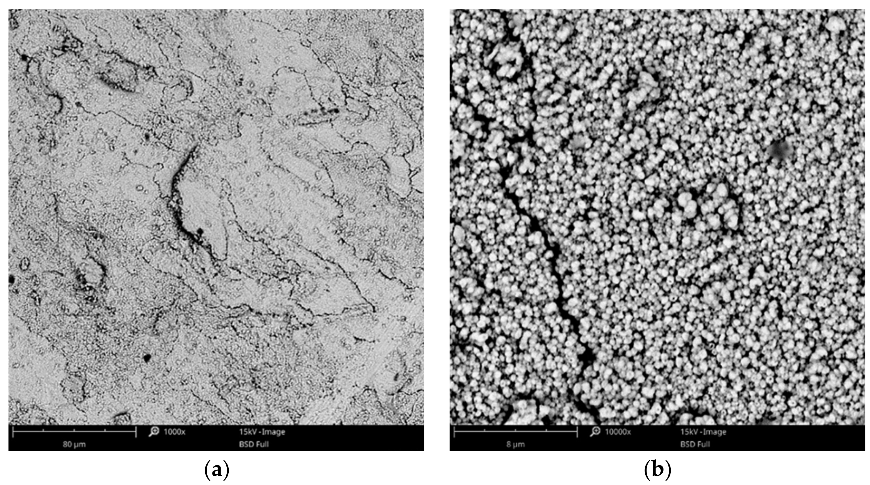 Materials 14 01762 g004