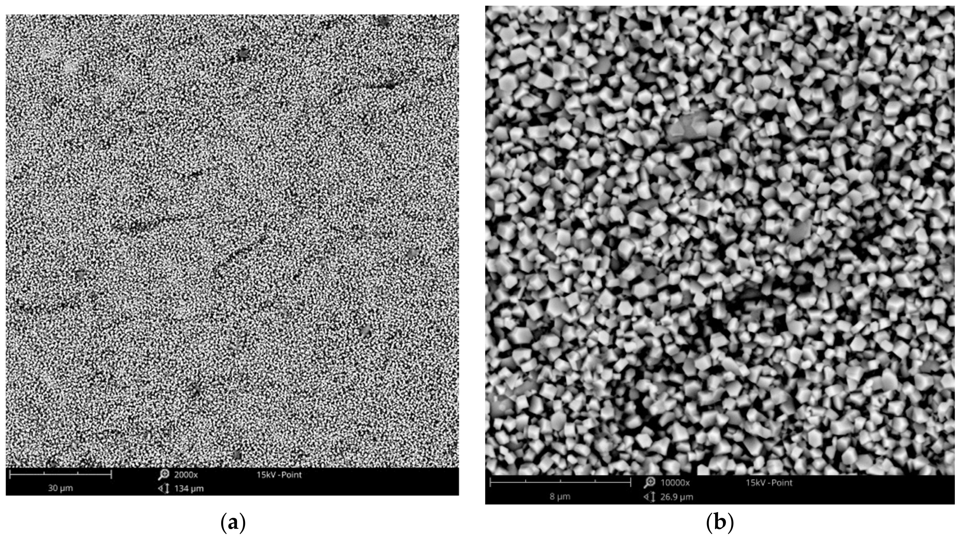 Materials 14 01762 g006