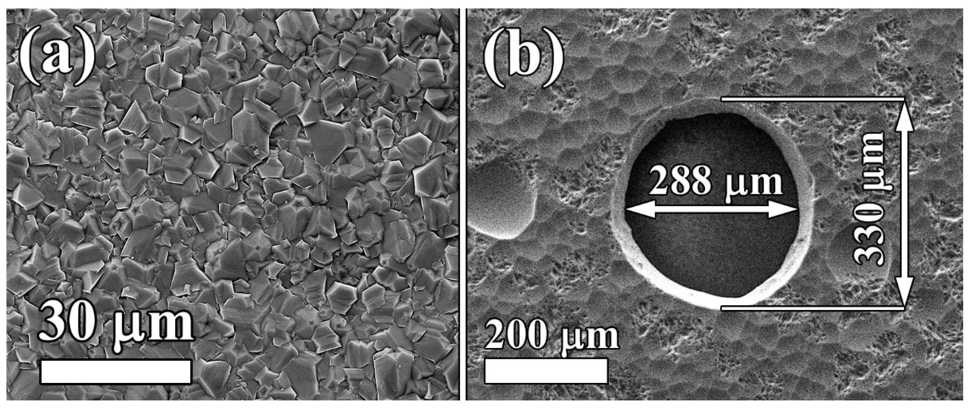 Materials 14 01780 g006