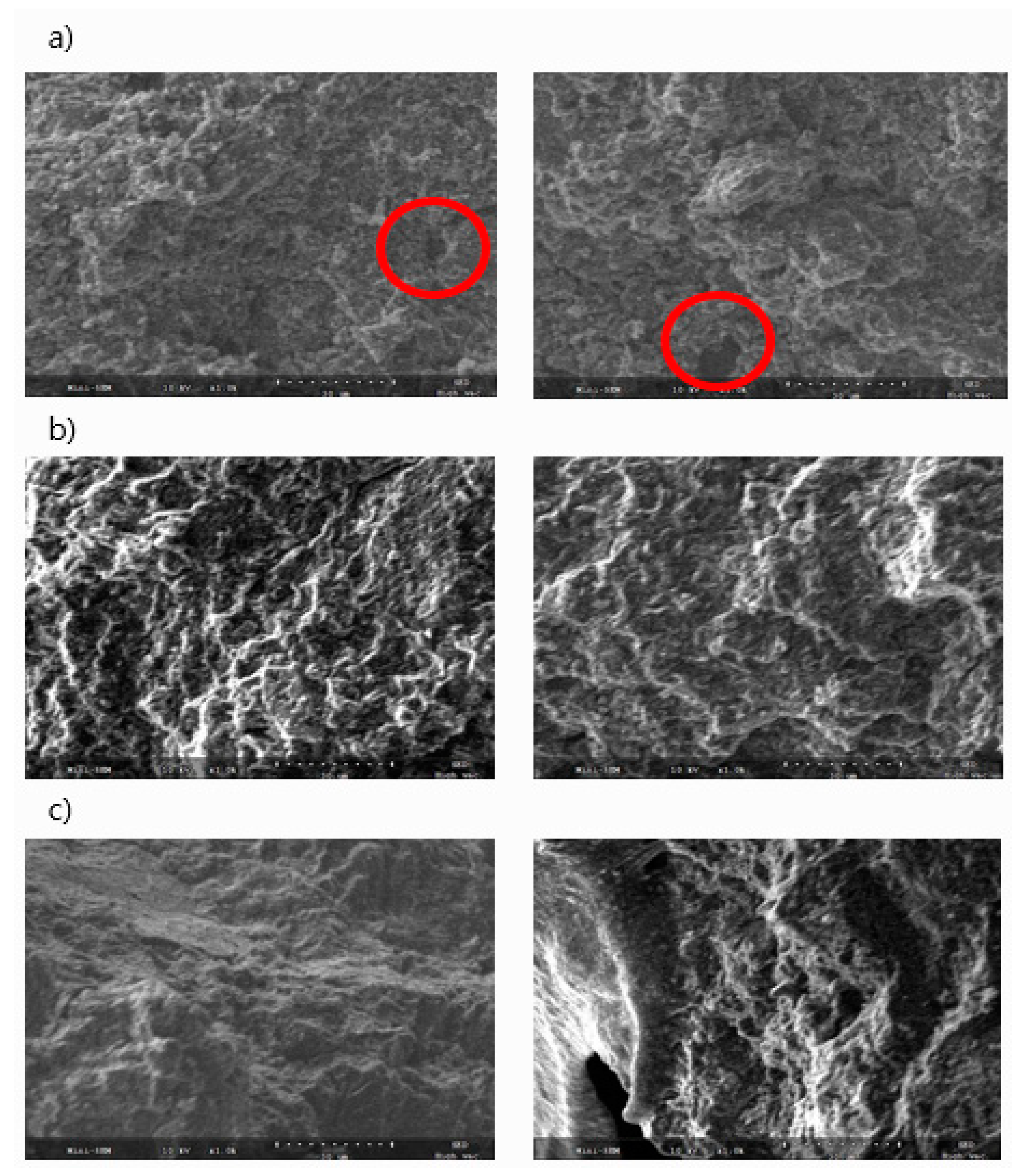 Materials 14 01832 g006