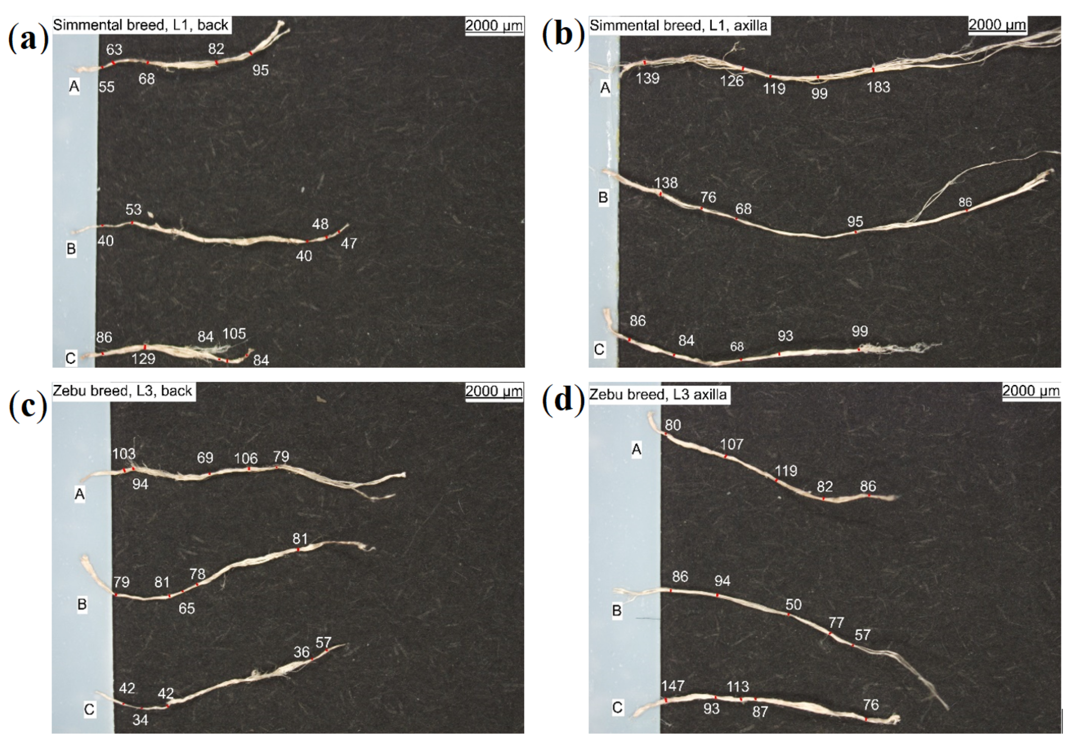 Materials 14 01894 g003