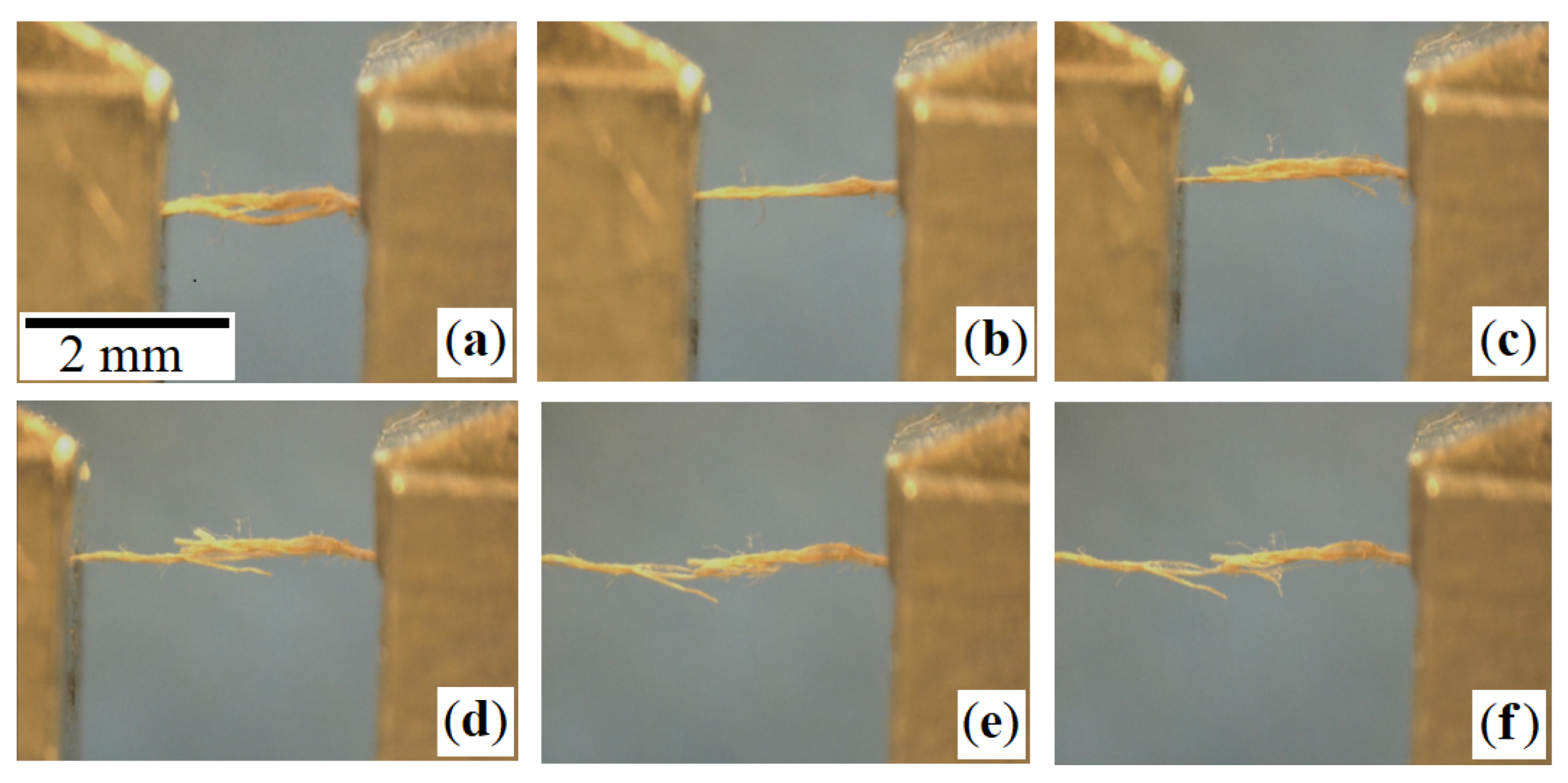 Materials 14 01894 g004