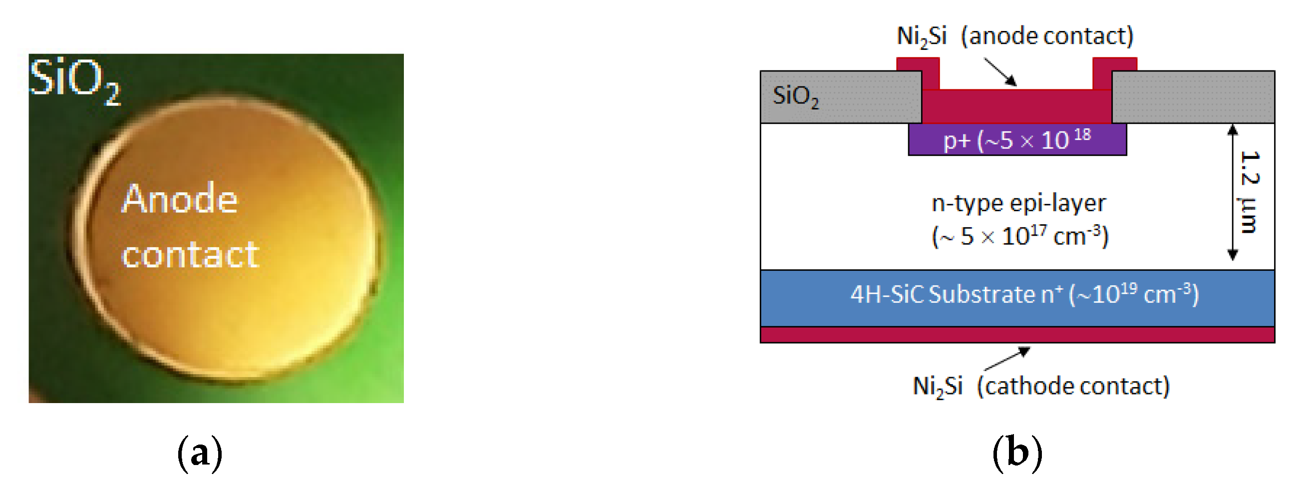 Materials 14 01966 g001 Materials 14 01966 g001