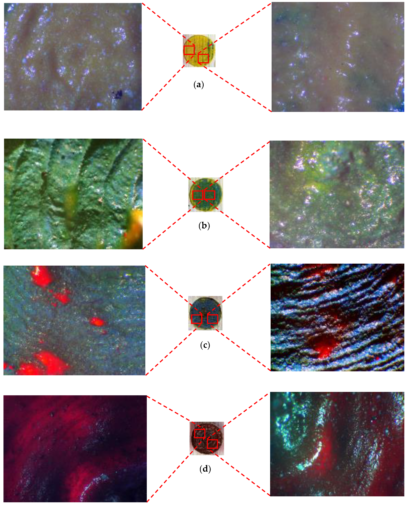 Materials 14 02009 g016