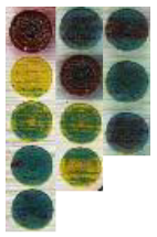 Materials 14 02009 i021