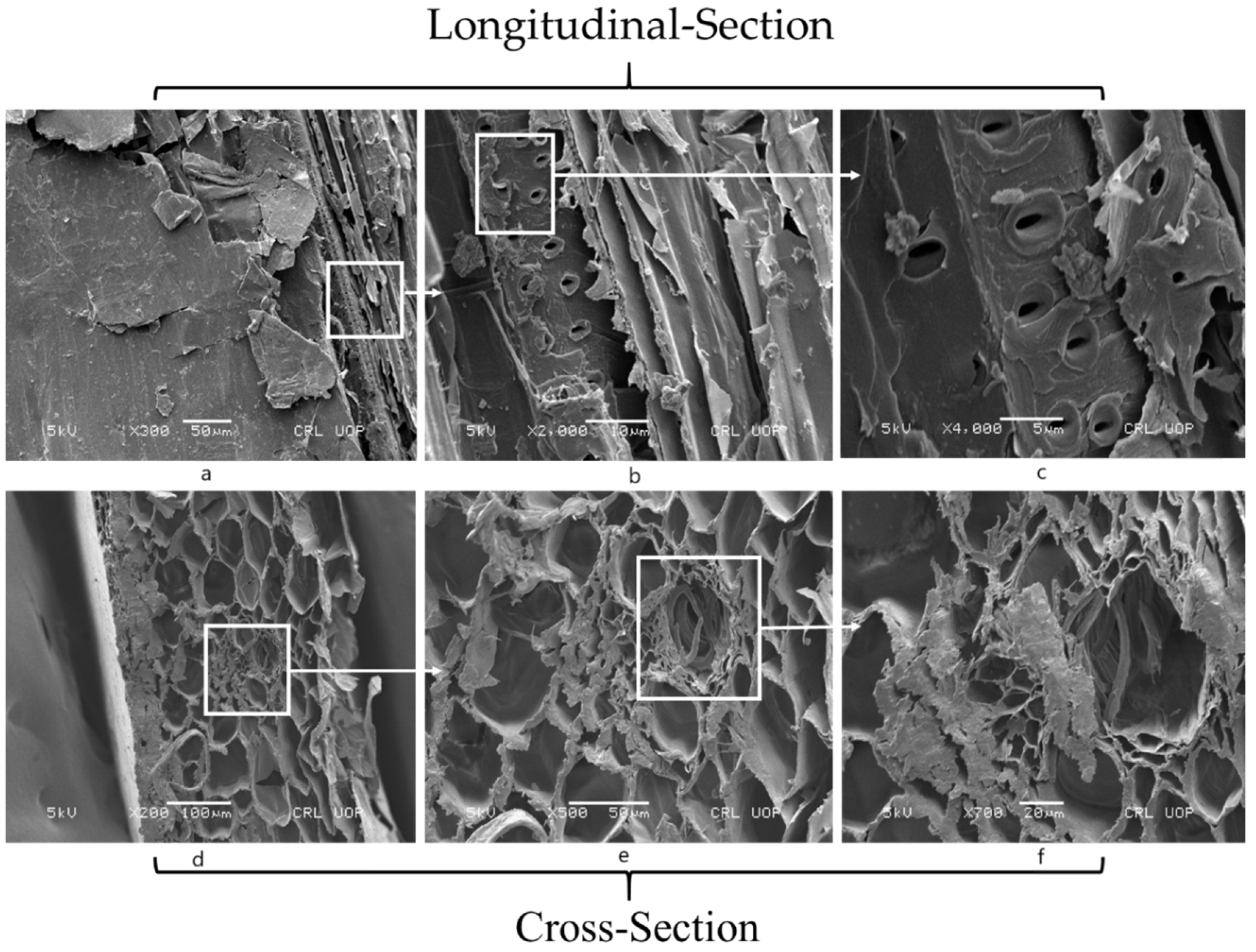 Materials 14 02078 g002