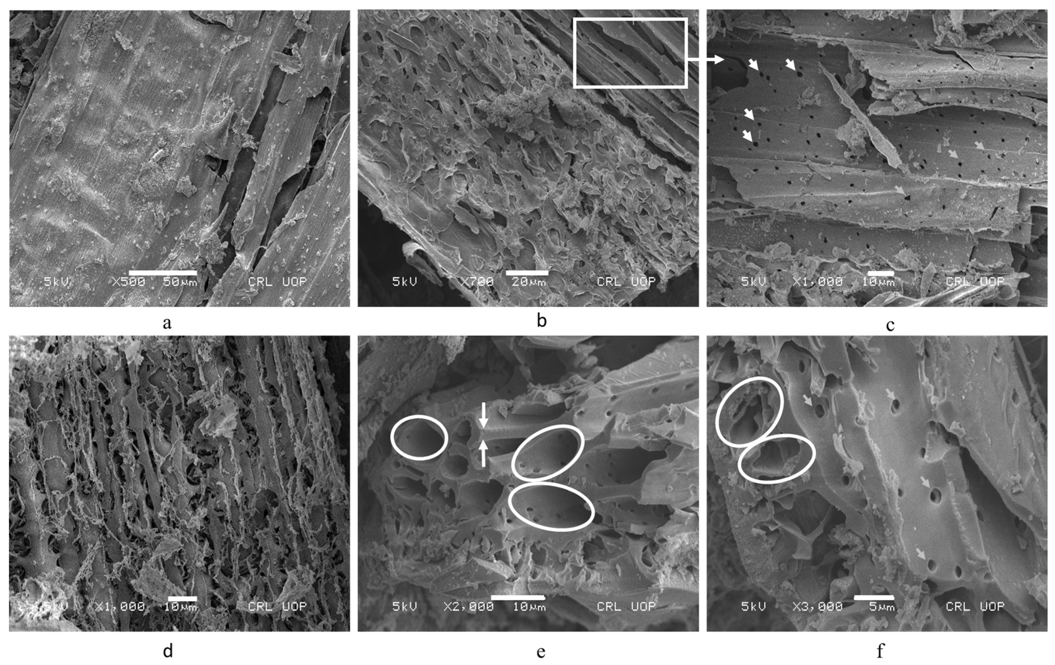 Materials 14 02078 g003