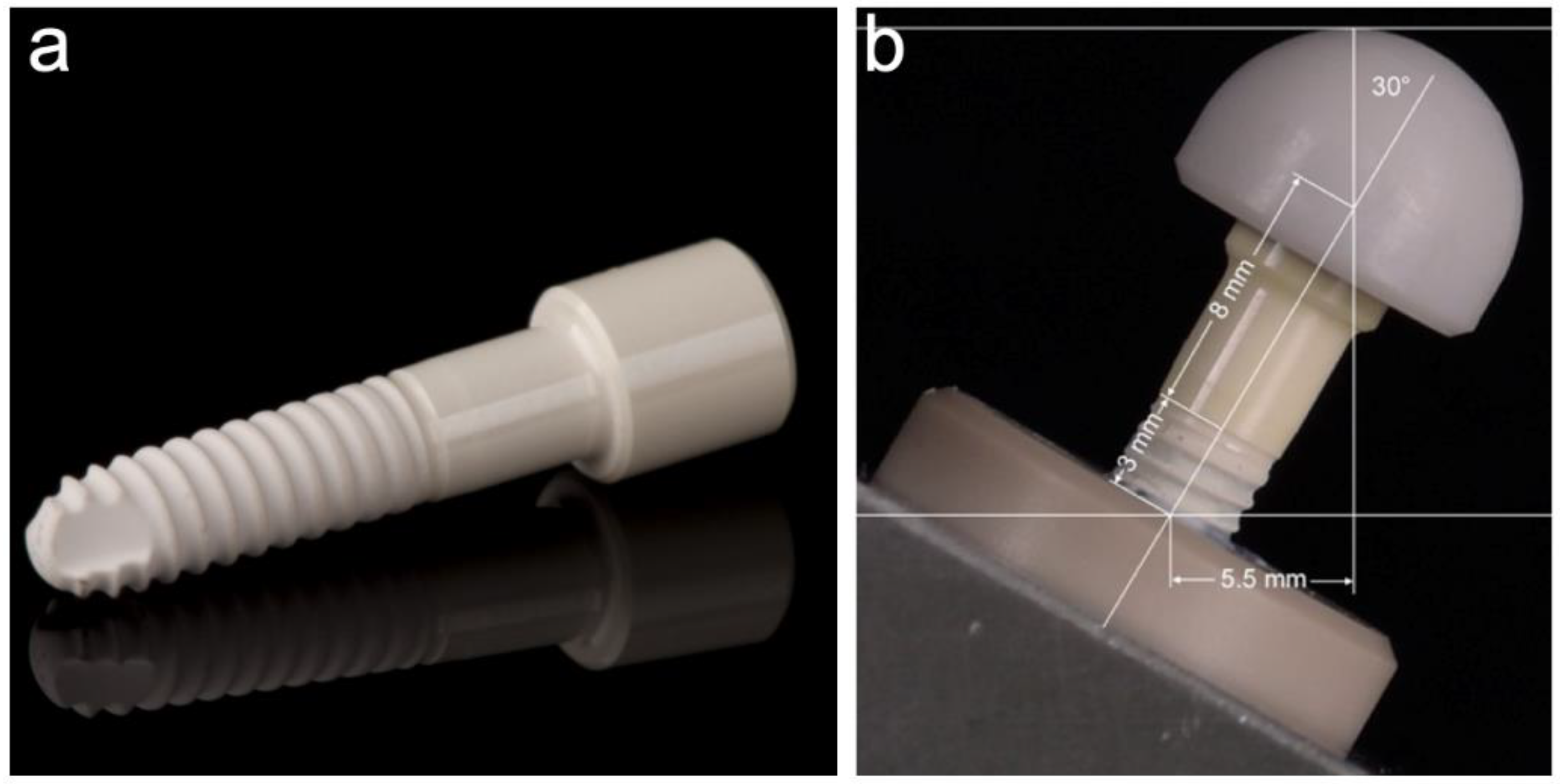 Materials 14 02151 g001