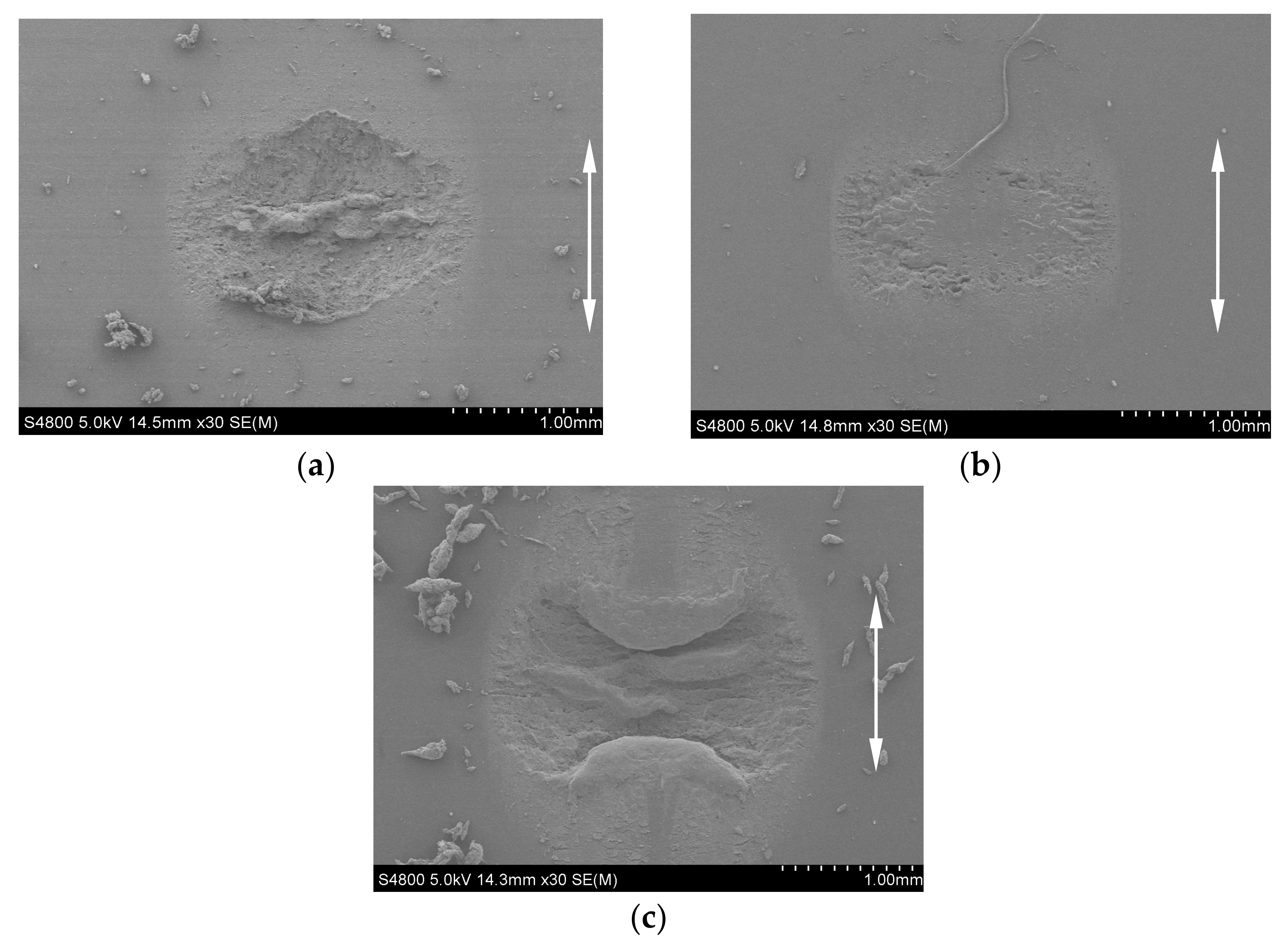 Materials 14 02153 g007