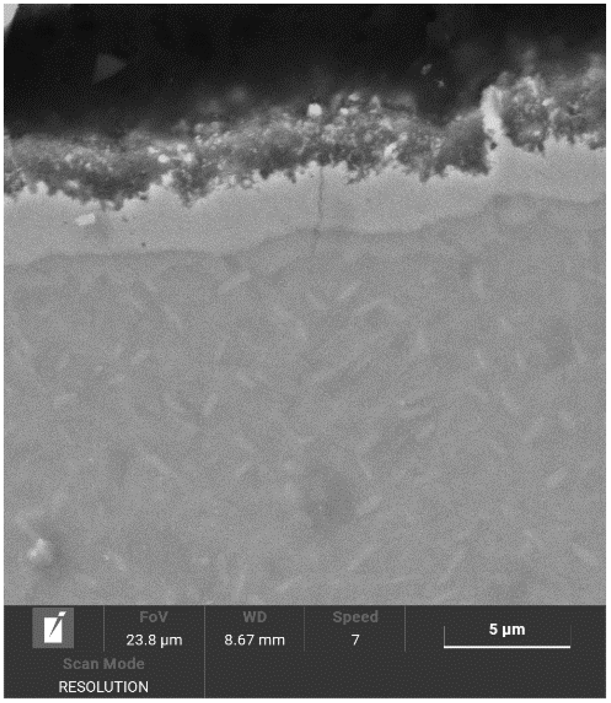 Materials 14 02155 g005