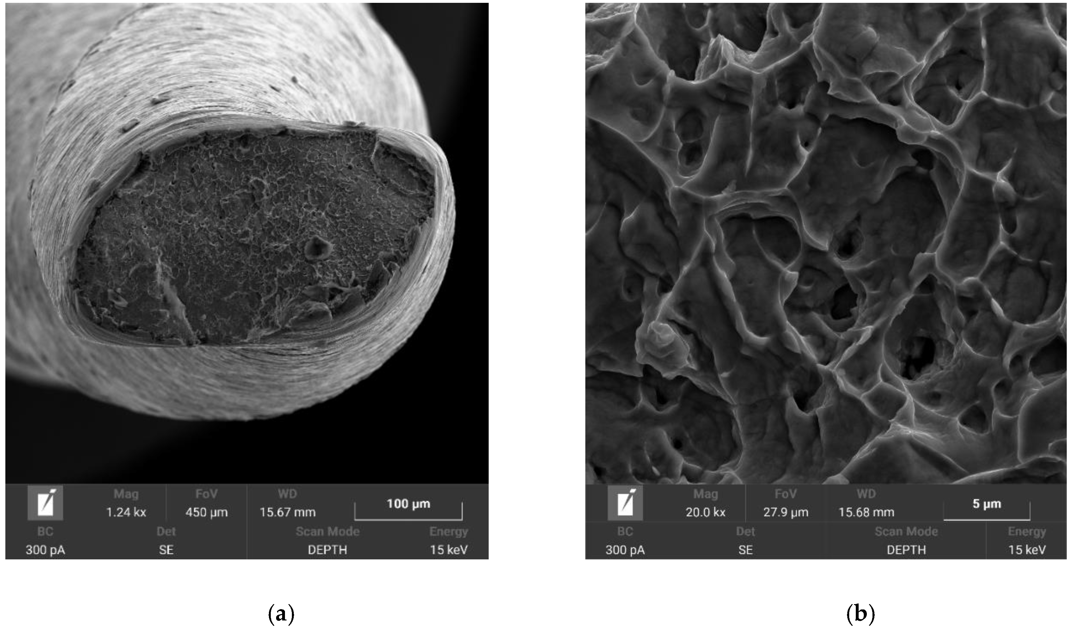 Materials 14 02155 g010
