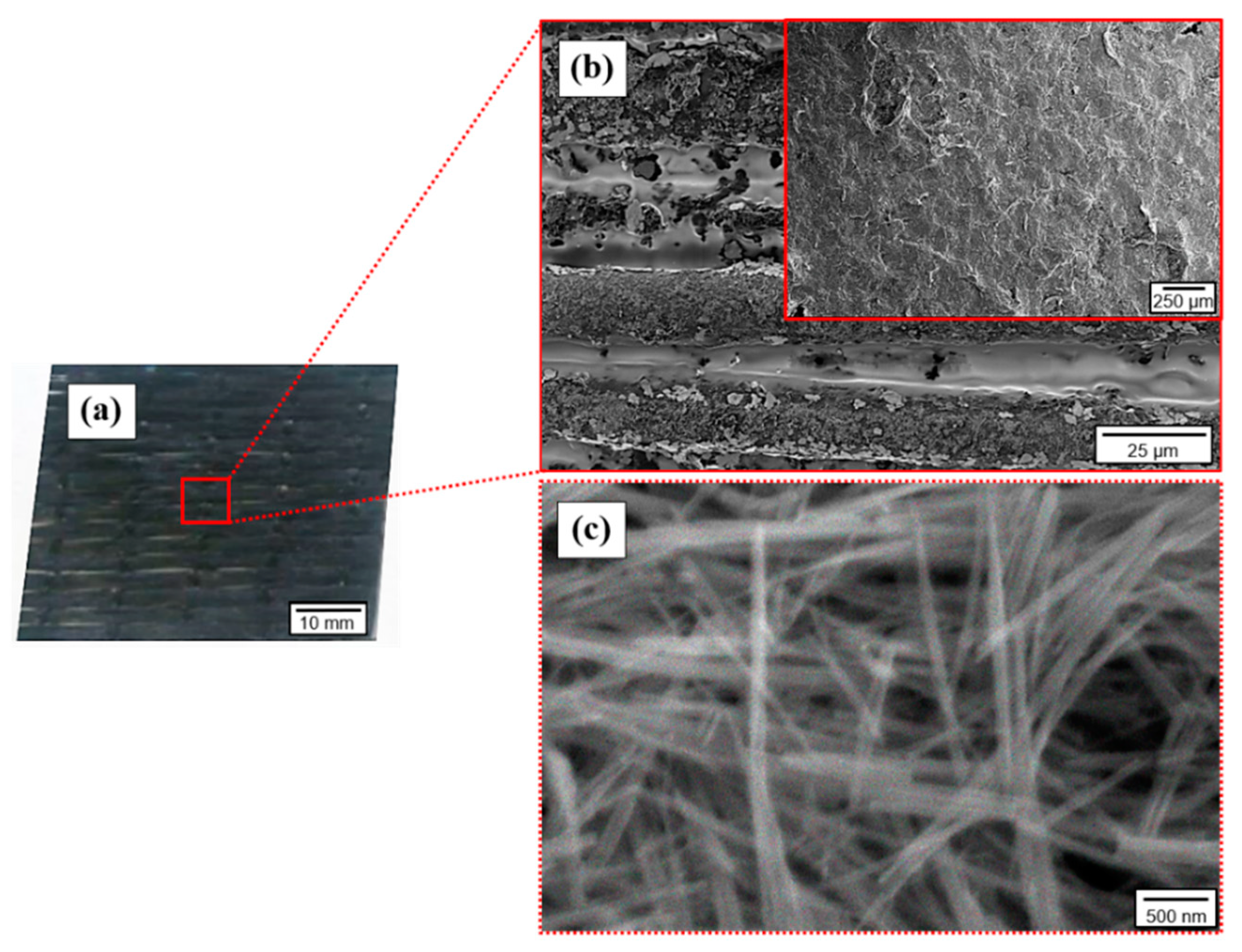 Materials 14 02173 g005