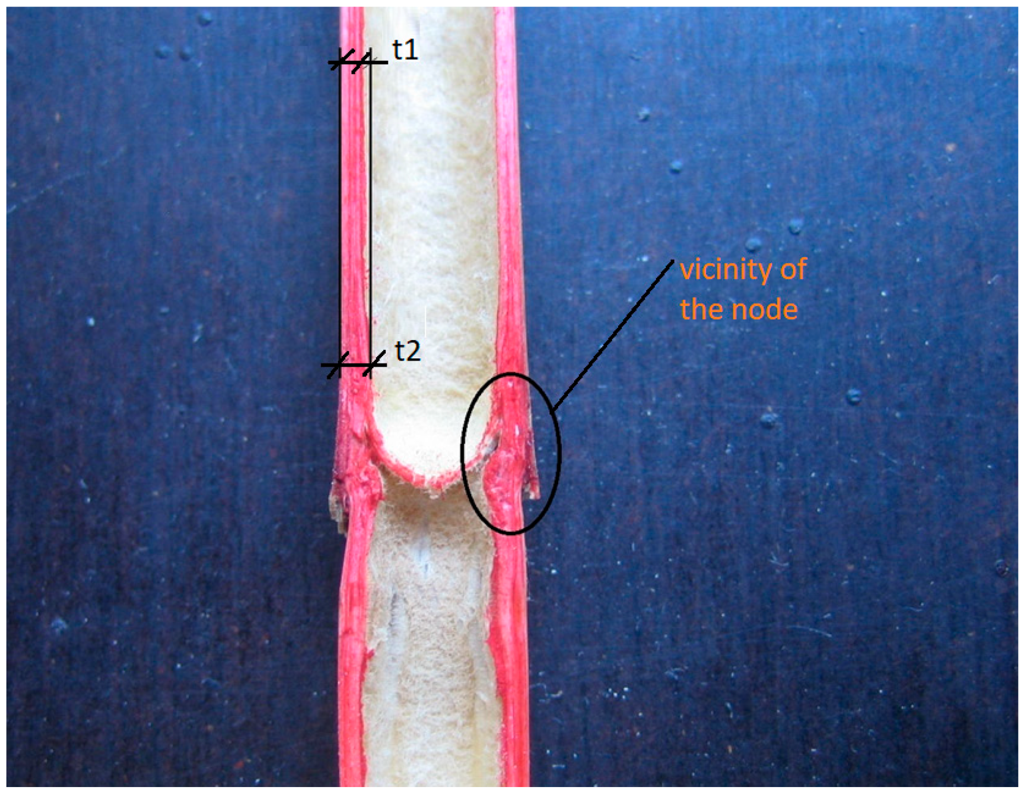 Materials 14 02193 g005 Materials 14 02193 g005