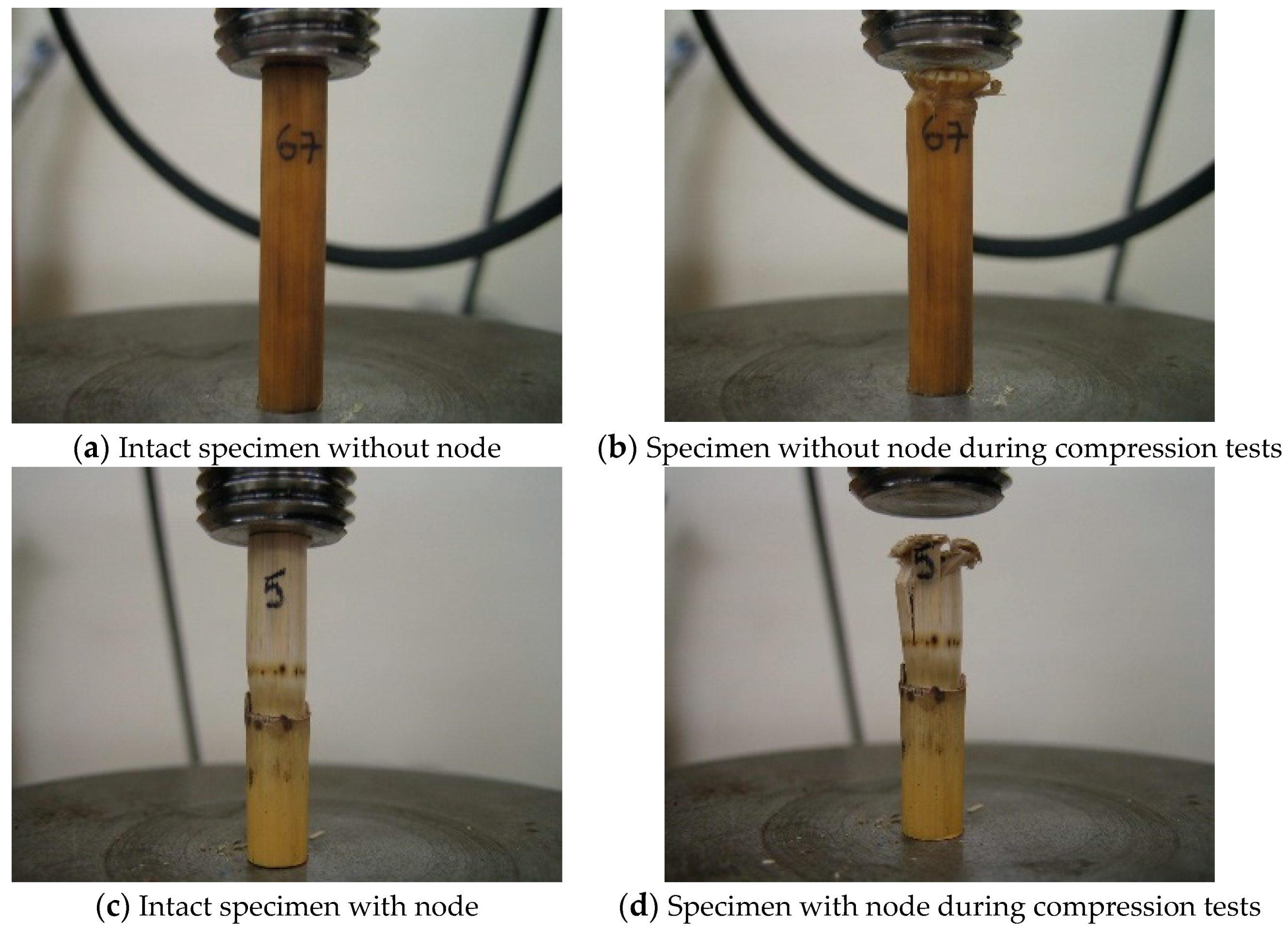 Materials 14 02193 g014 Materials 14 02193 g014