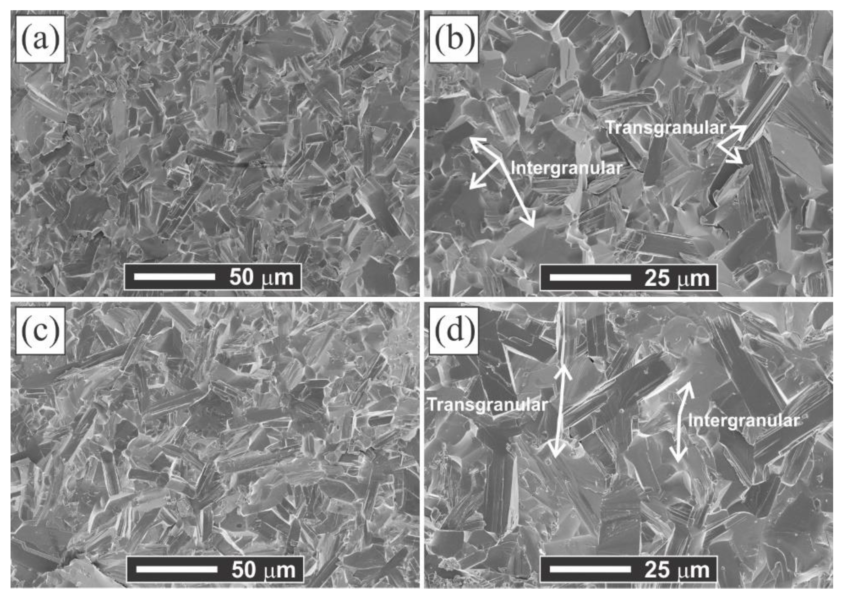 Materials 14 02217 g005 Materials 14 02217 g005