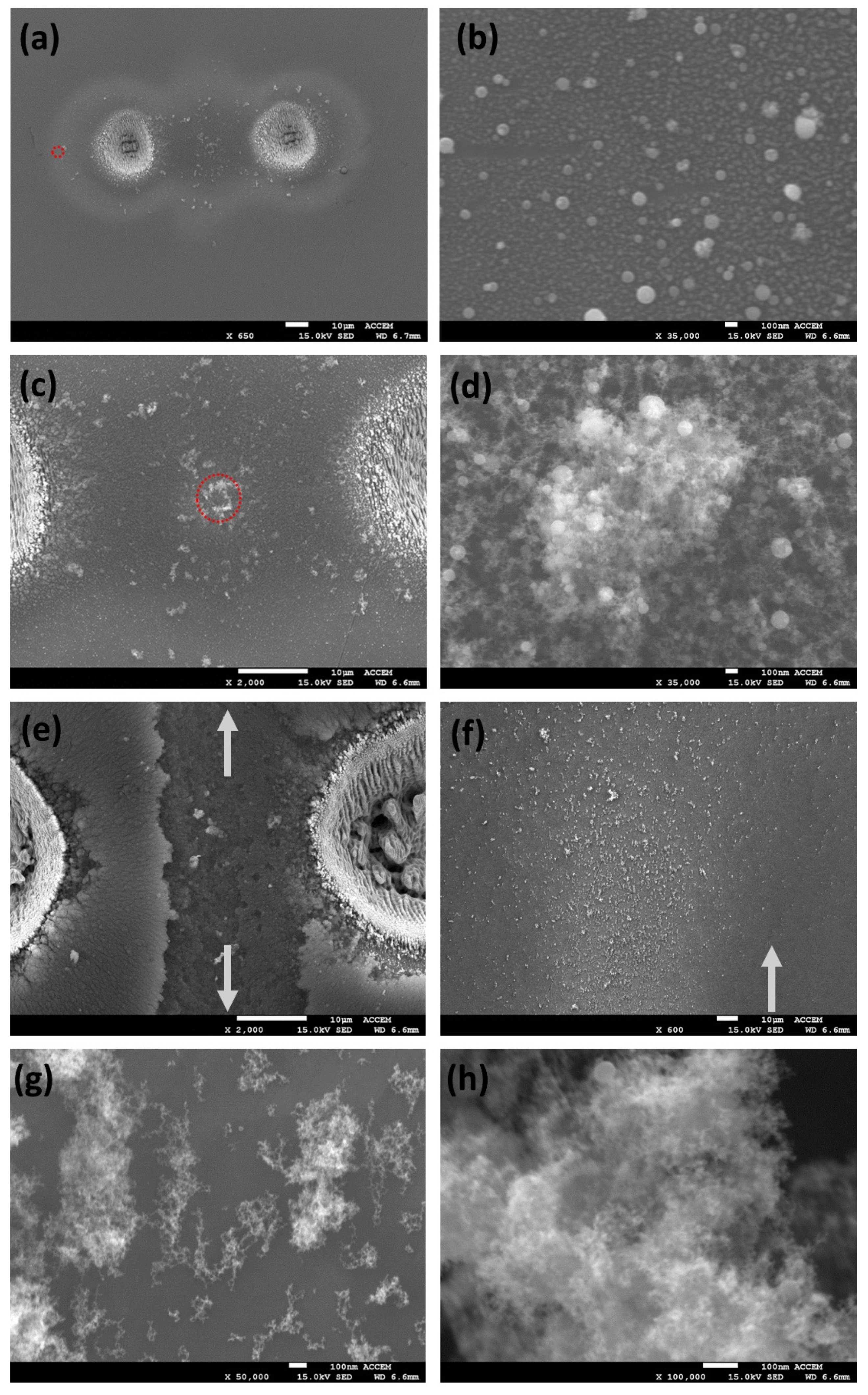 Materials 14 02243 g006