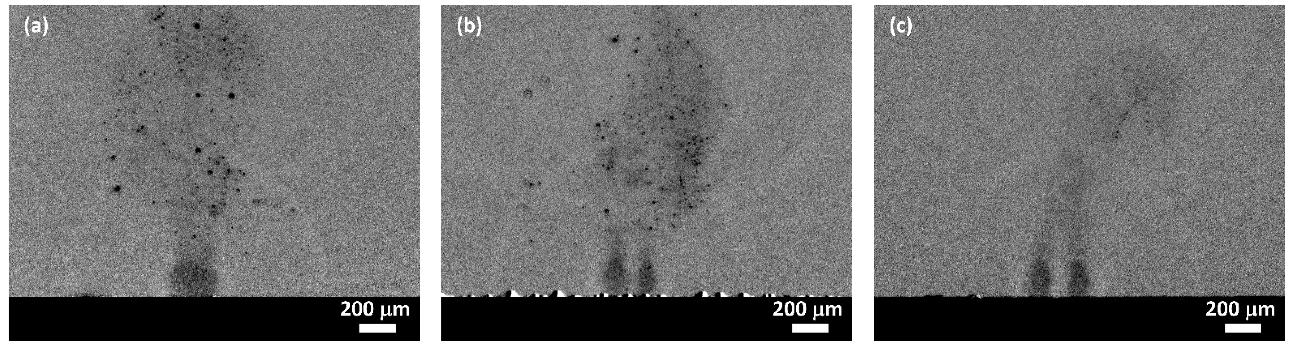 Materials 14 02243 g013