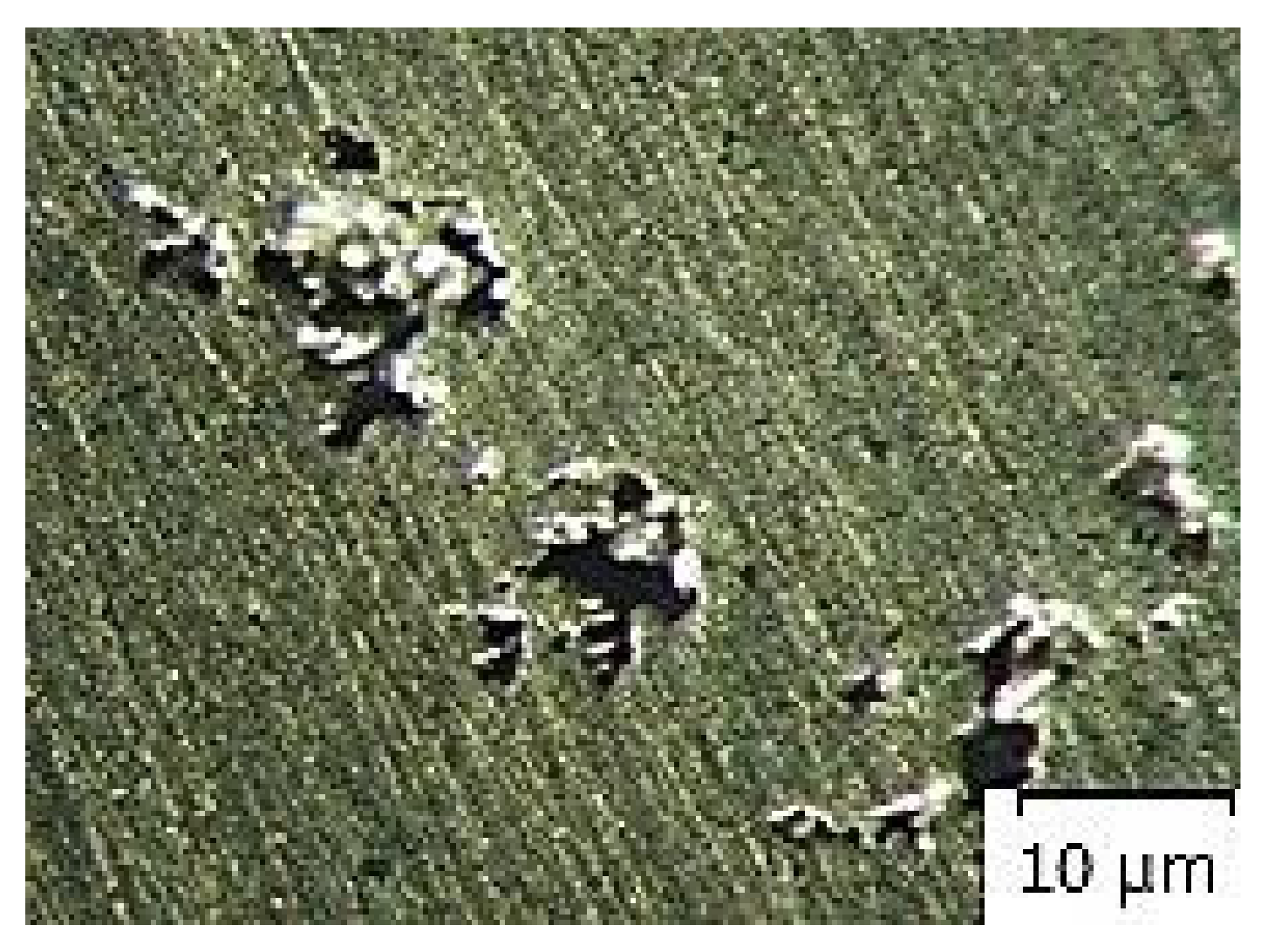 Materials 14 02264 g010