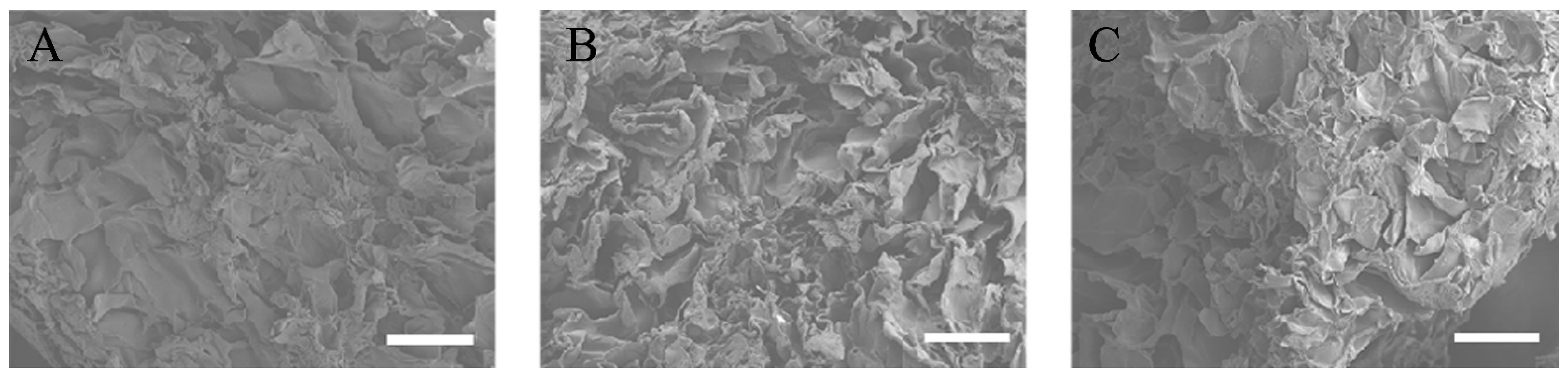 Materials 14 02306 g001