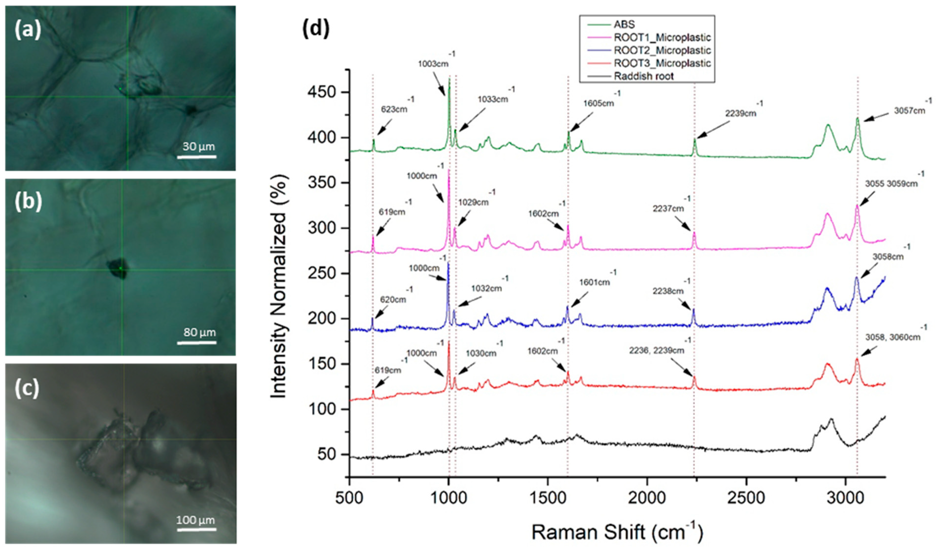 Materials 14 02329 g004 Materials 14 02329 g004