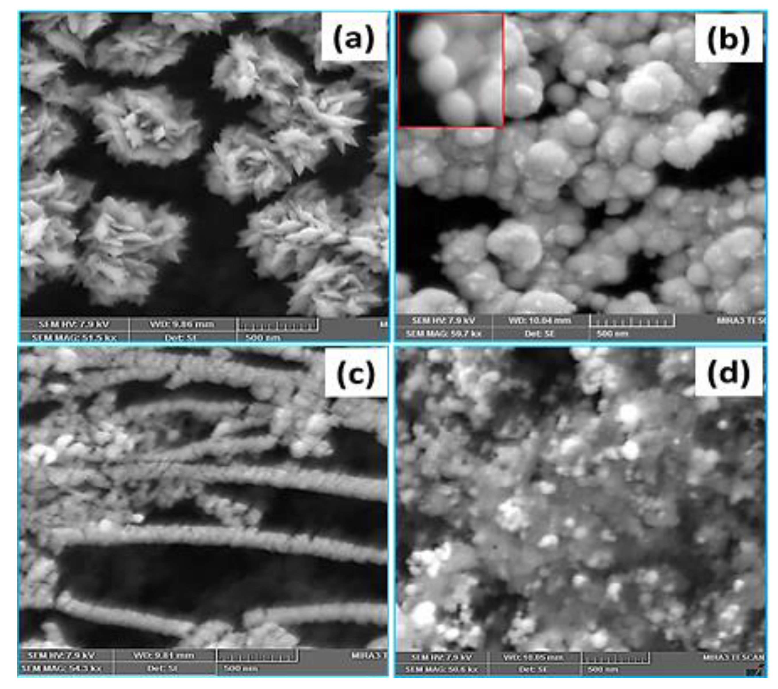 Materials 14 02330 g005 Materials 14 02330 g005
