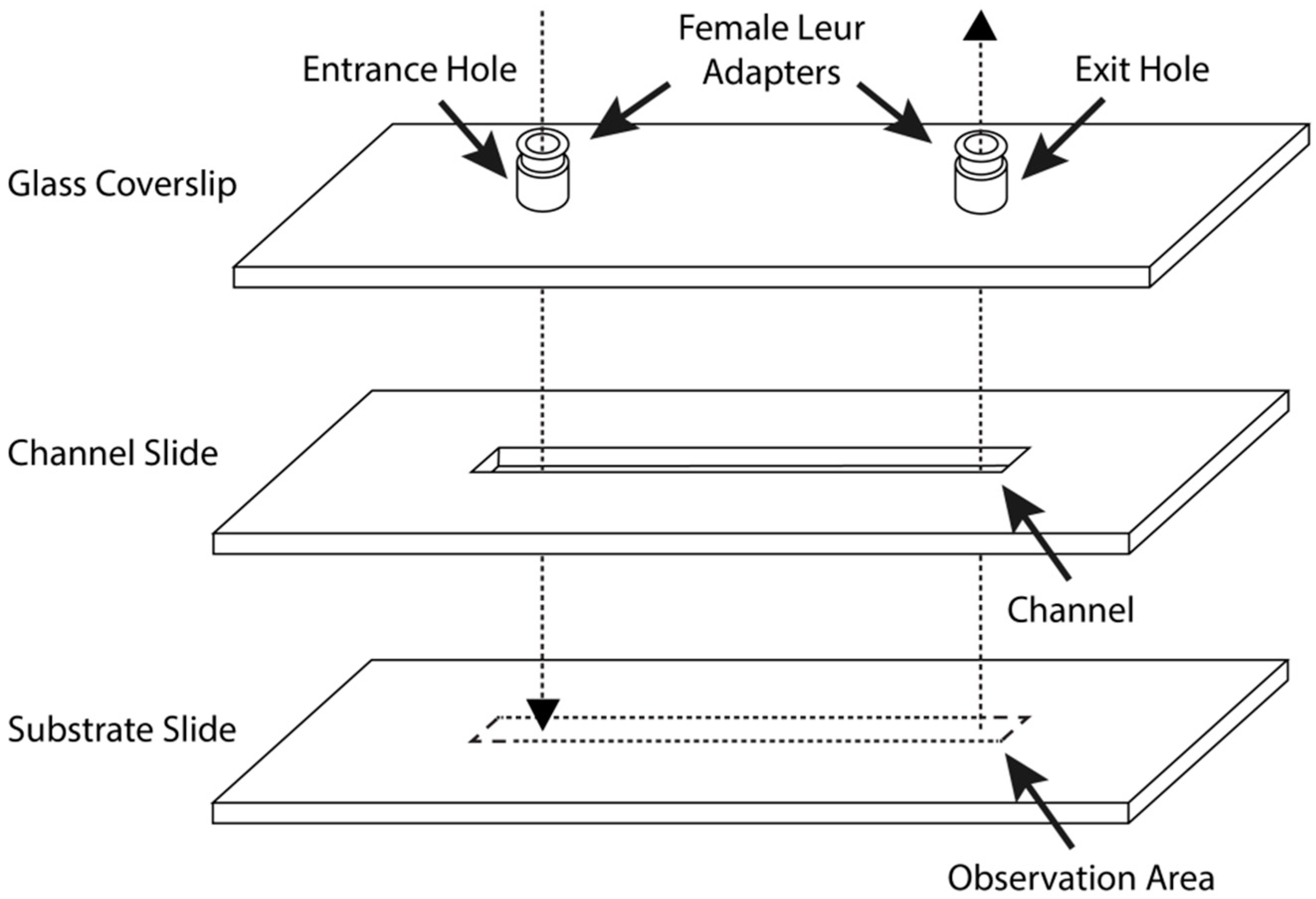 Materials 14 02342 g001