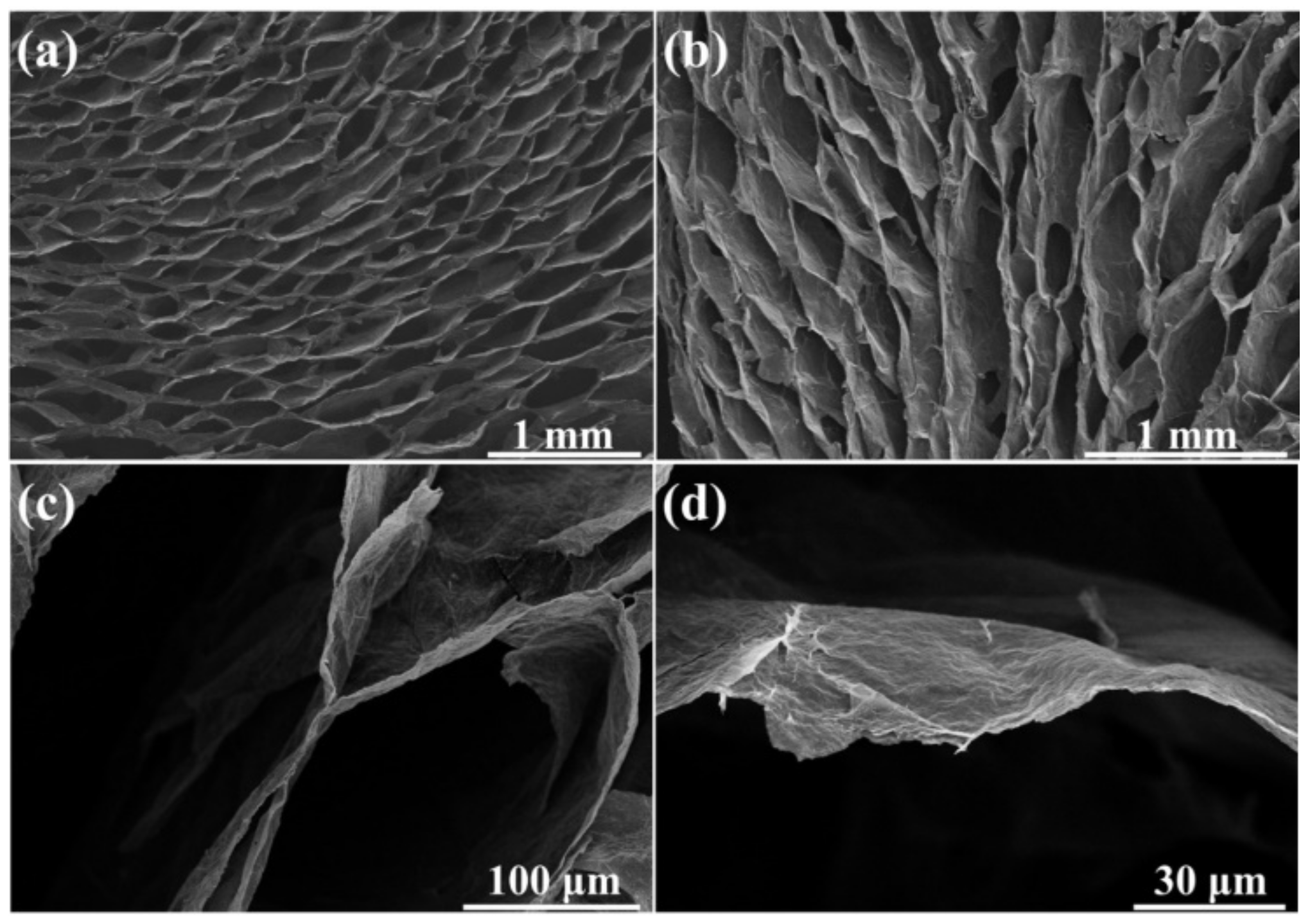 Materials 14 02350 g003