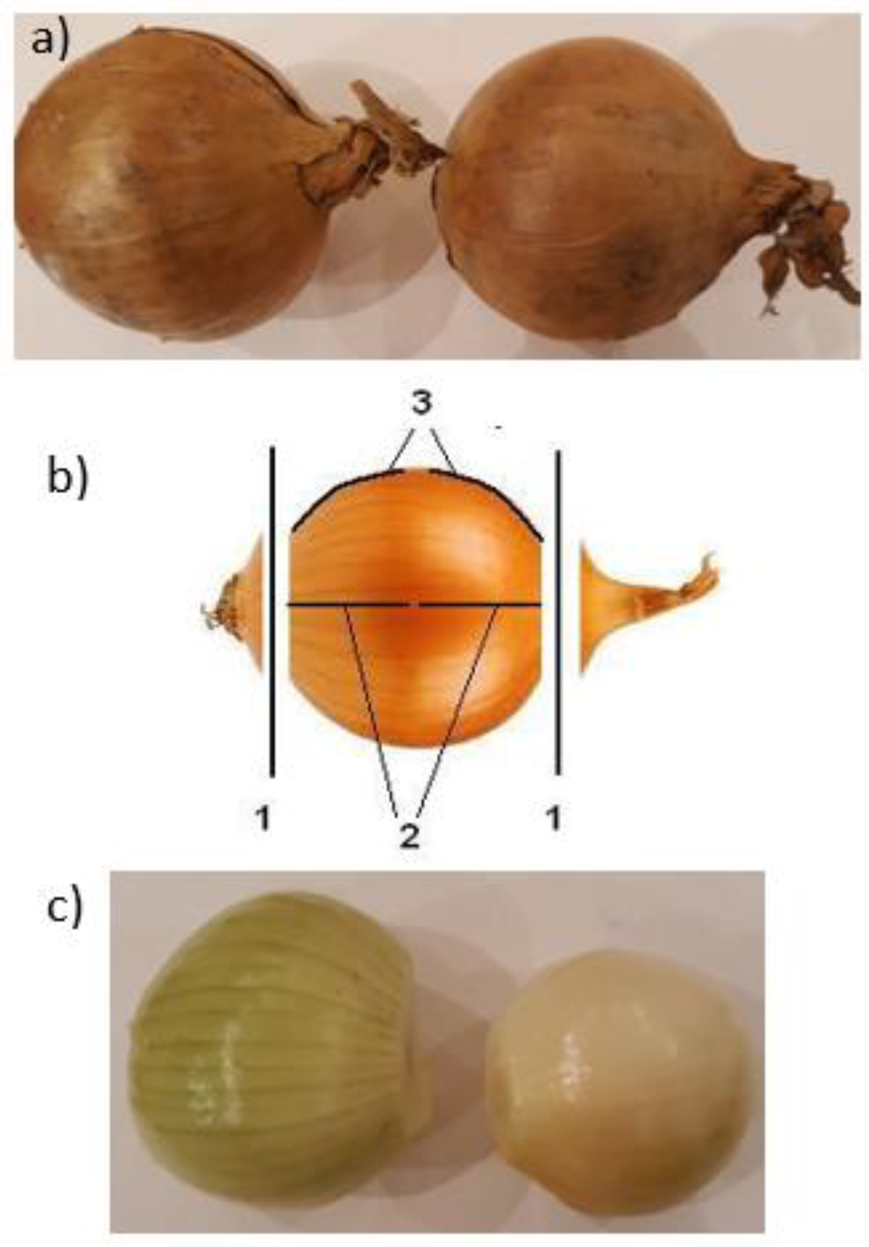 https://www.mdpi.com/materials/materials-14-02360/article_deploy/html/images/materials-14-02360-g001.png