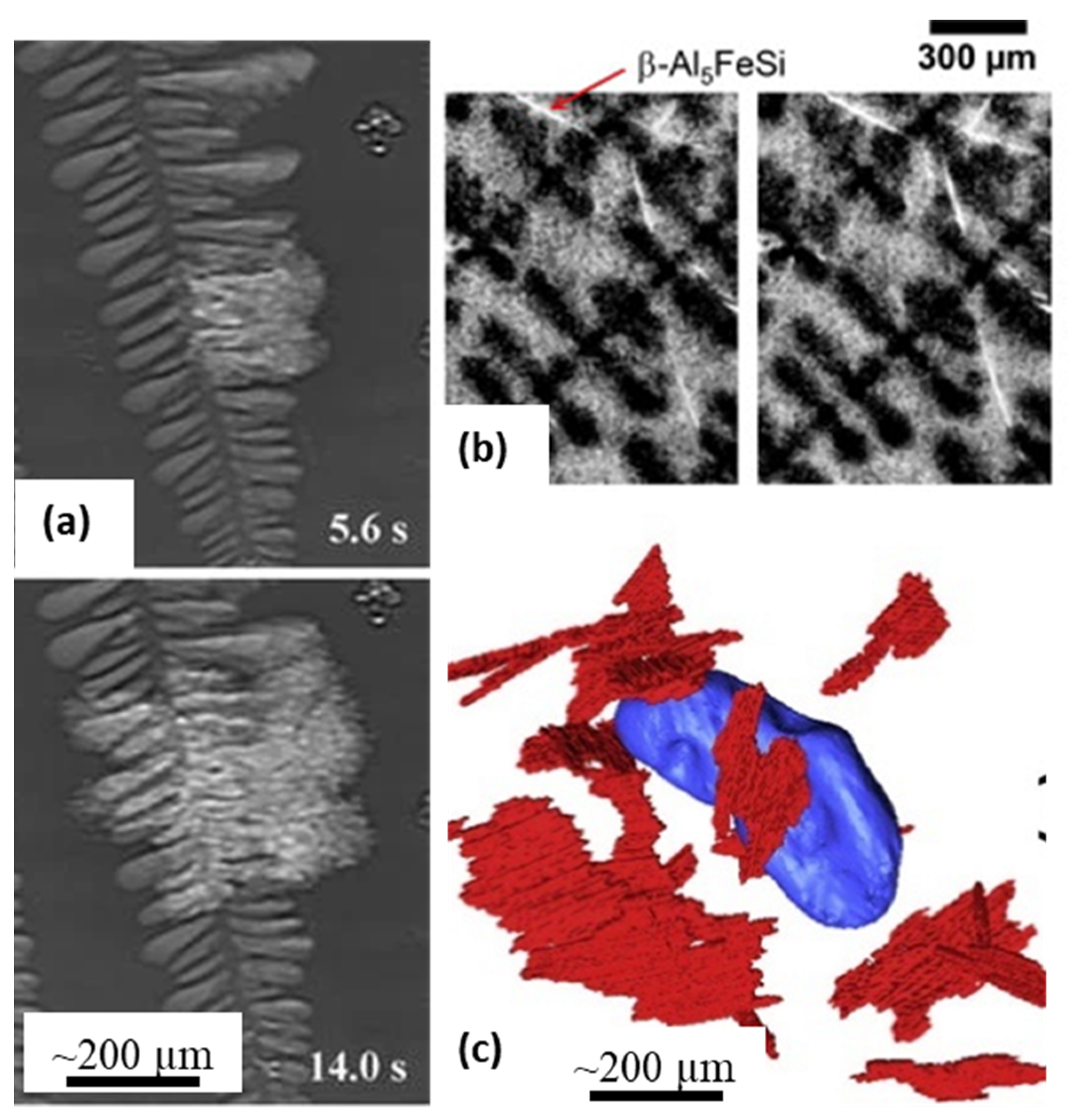 Materials 14 02374 g006 Materials 14 02374 g006