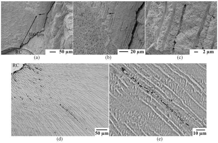 Materials 14 02427 g003 Materials 14 02427 g003