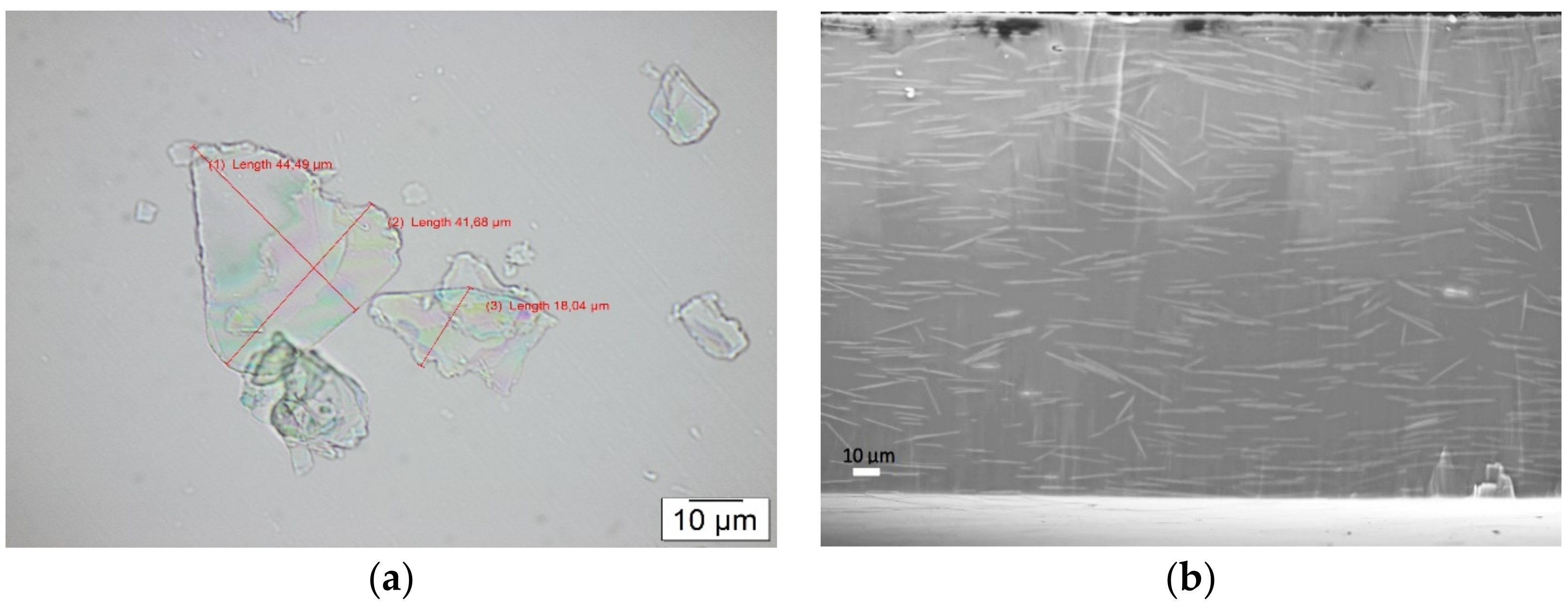 Materials 14 02496 g001