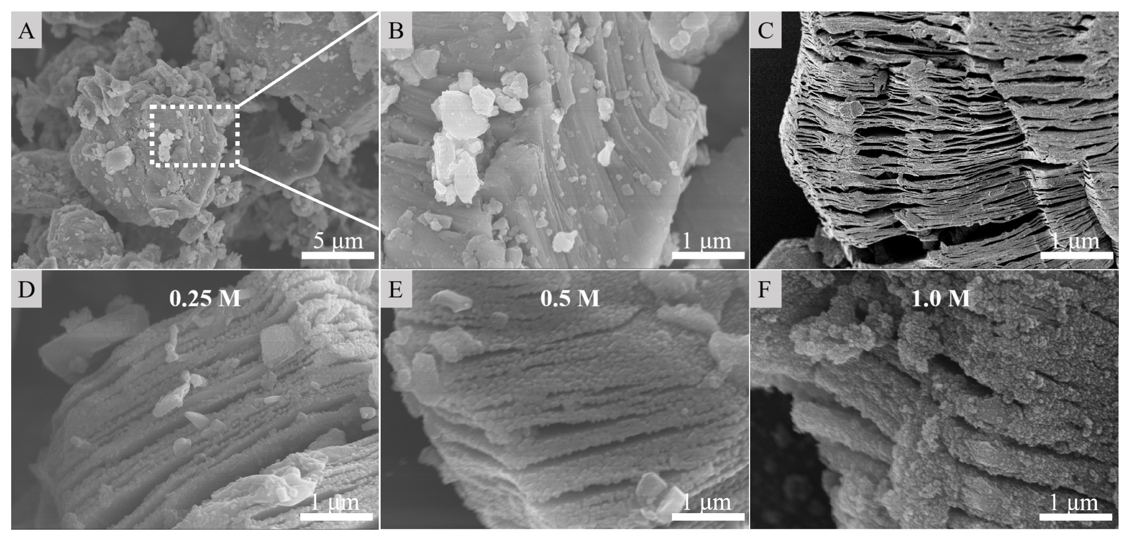 Materials 14 02509 g001