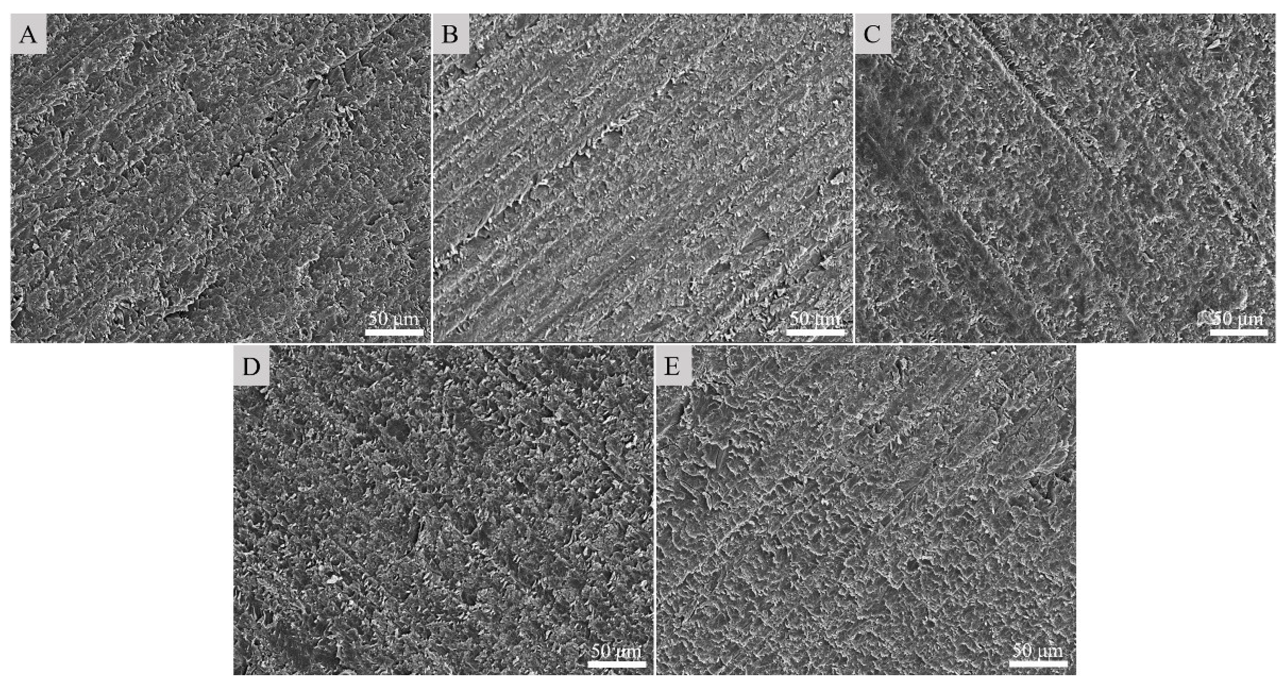 Materials 14 02509 g005