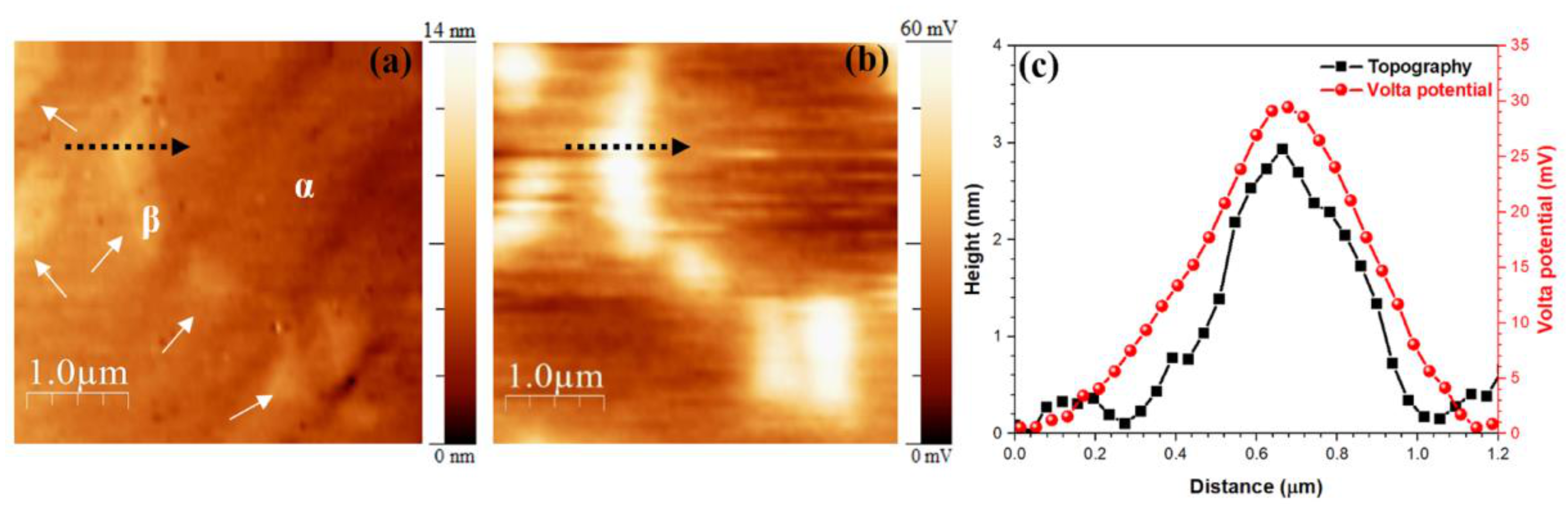 Materials 14 02540 g002