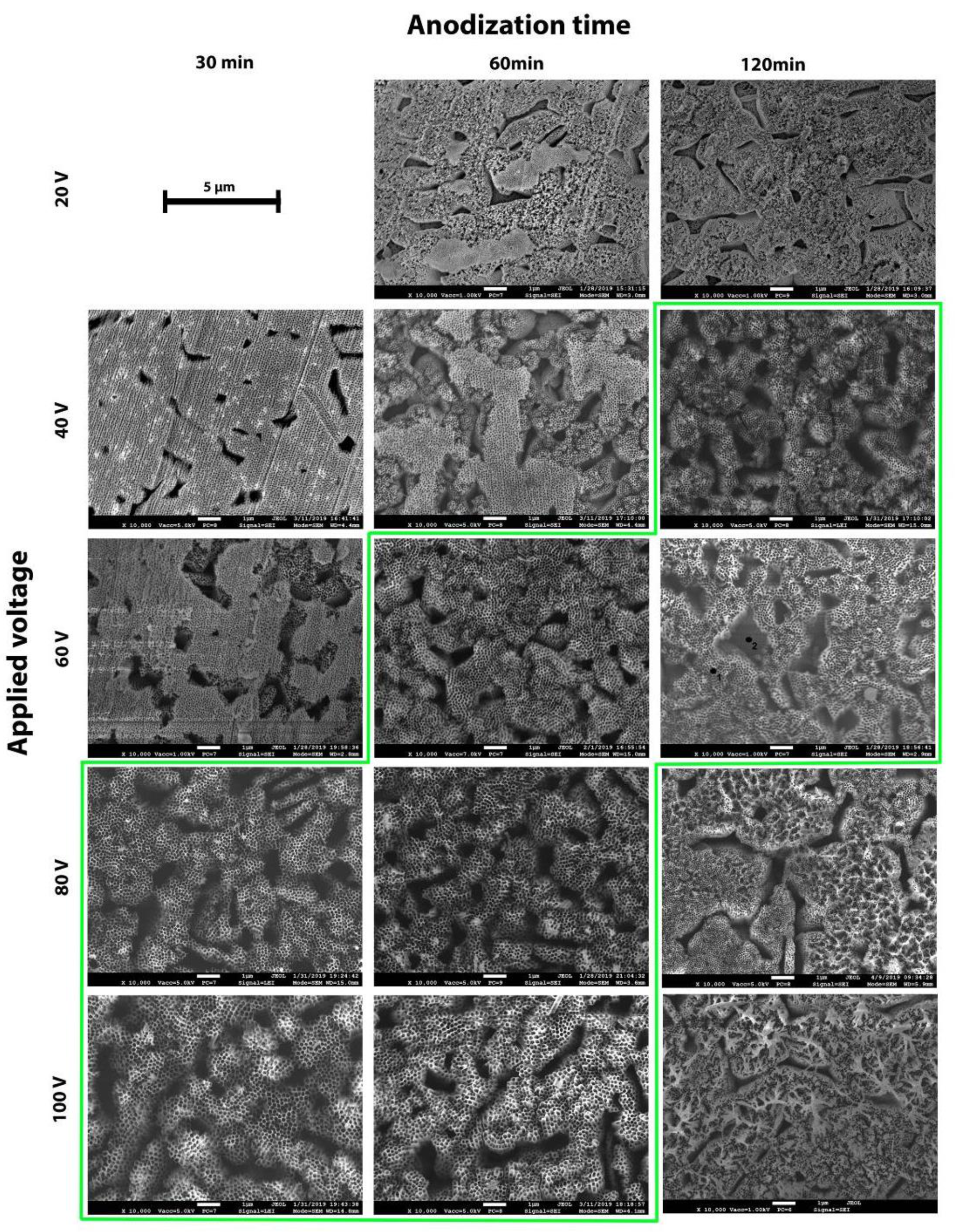 Materials 14 02540 g003