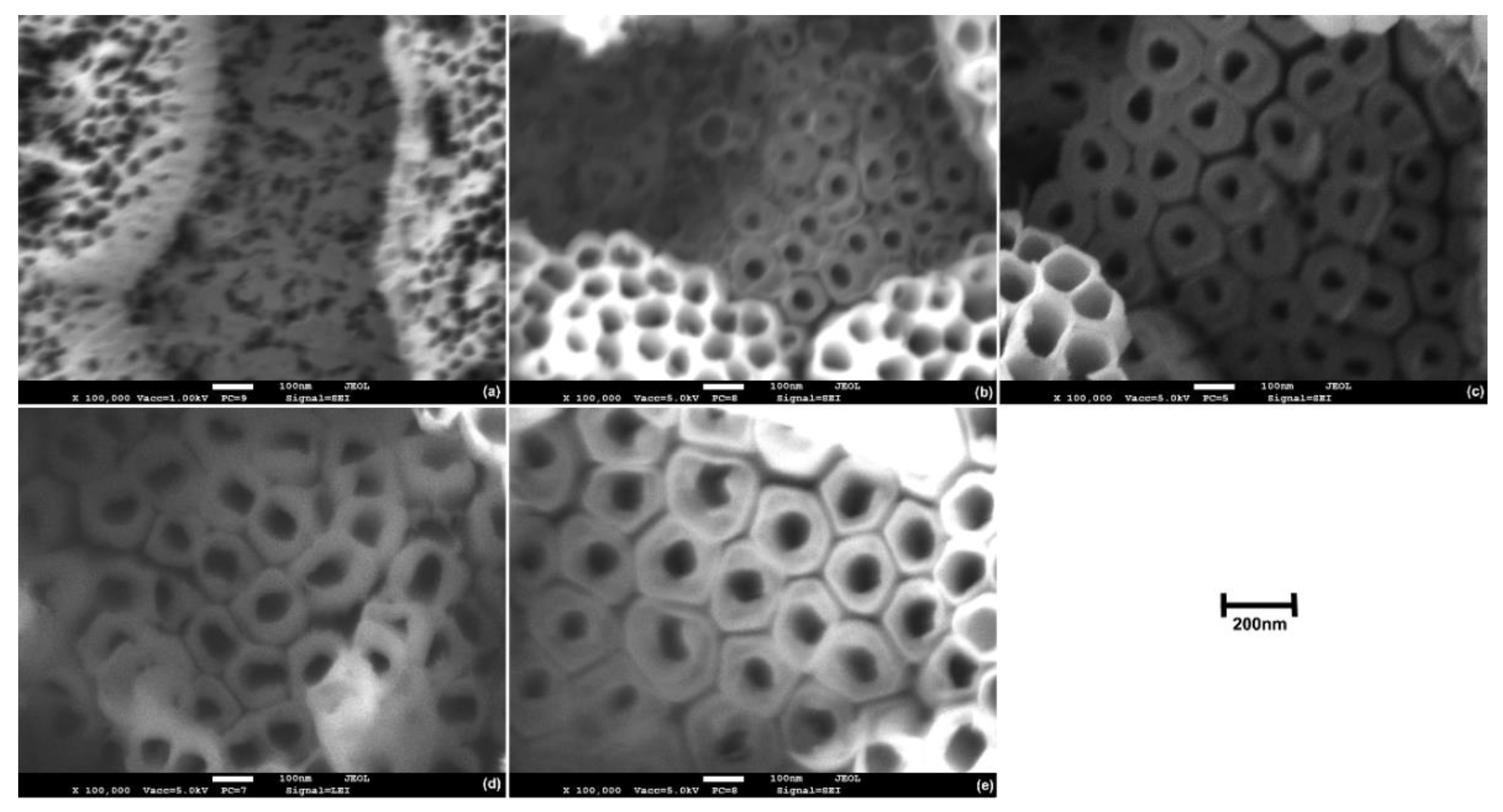 Materials 14 02540 g005