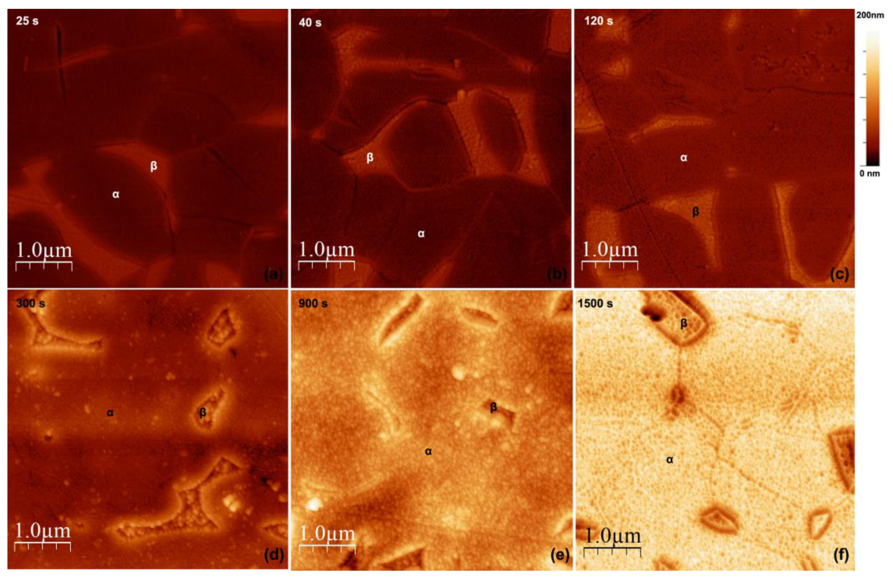 Materials 14 02540 g008