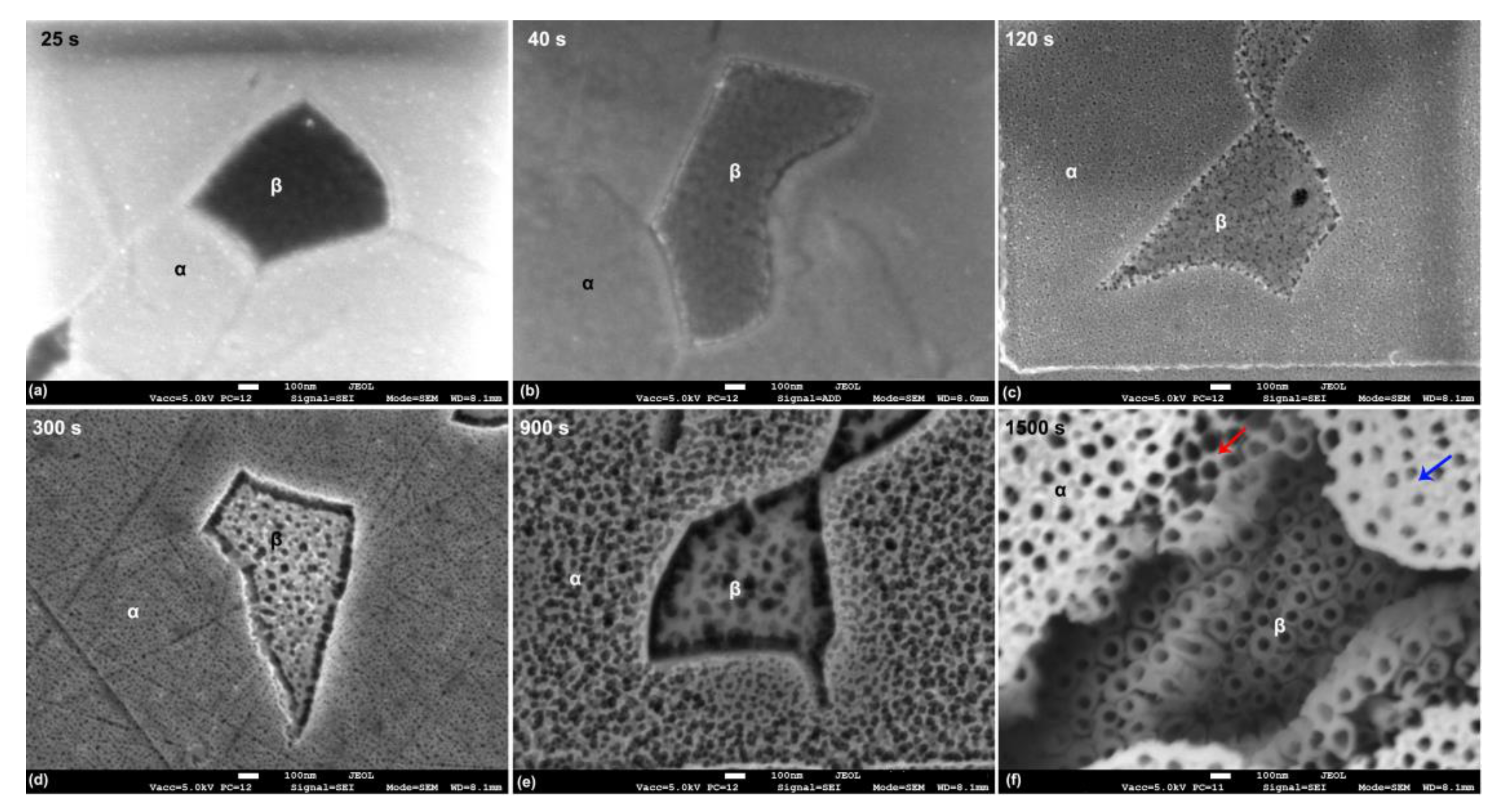 Materials 14 02540 g009