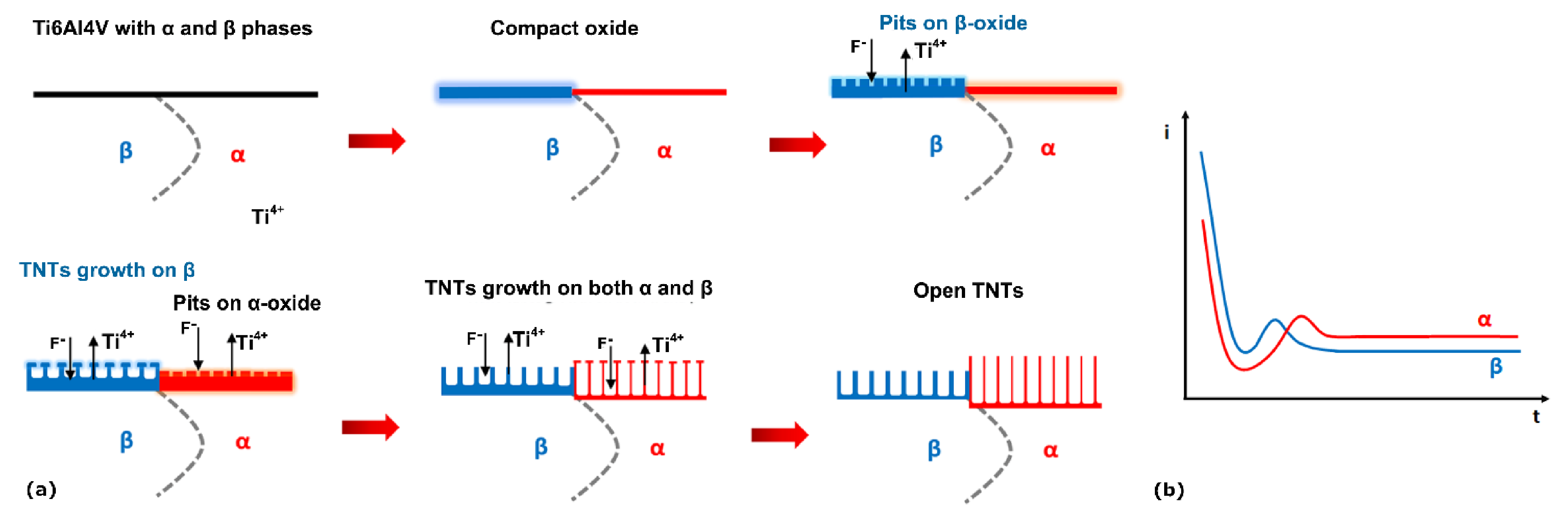 Materials 14 02540 g010