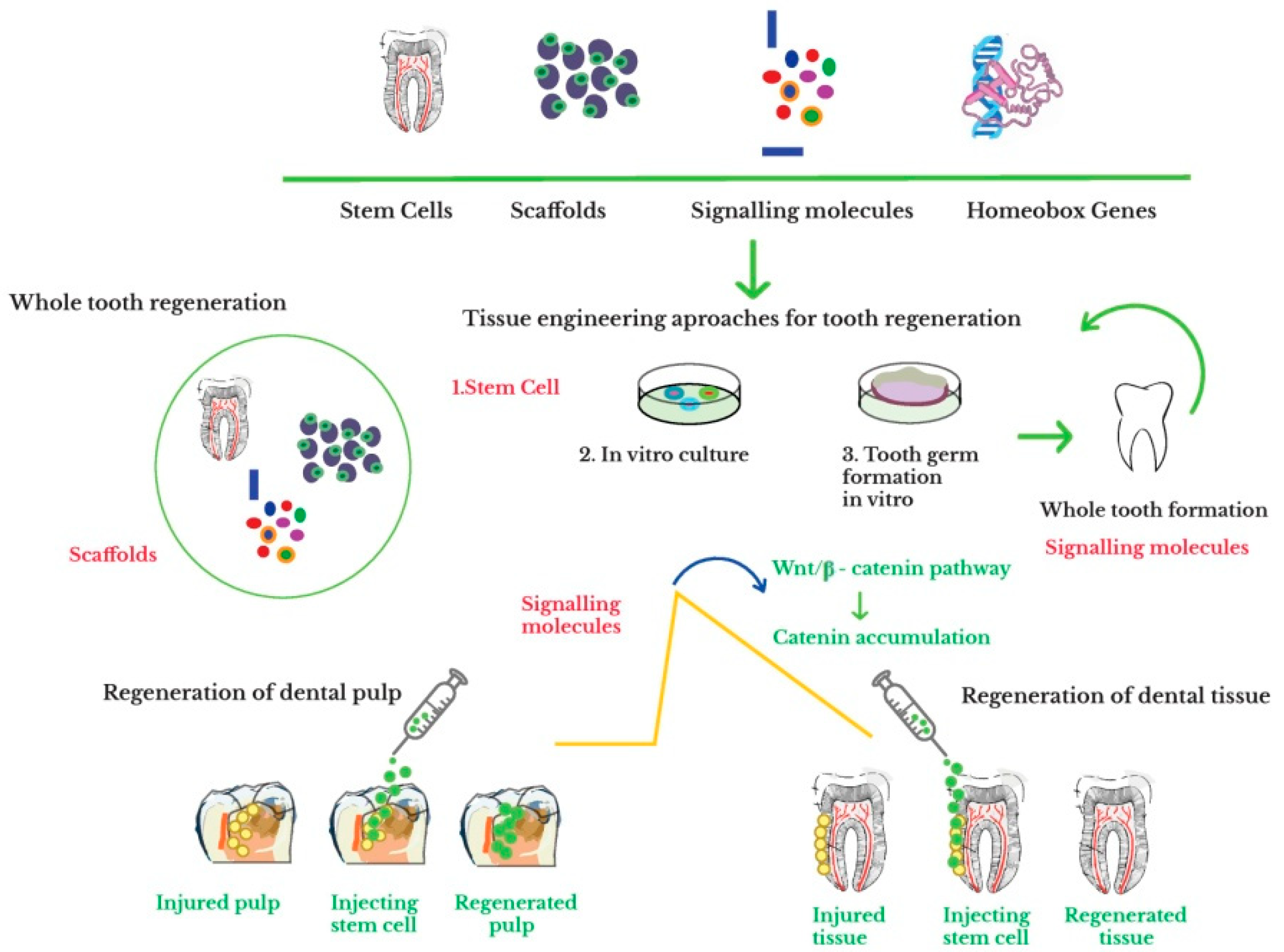 Materials 14 02558 g002