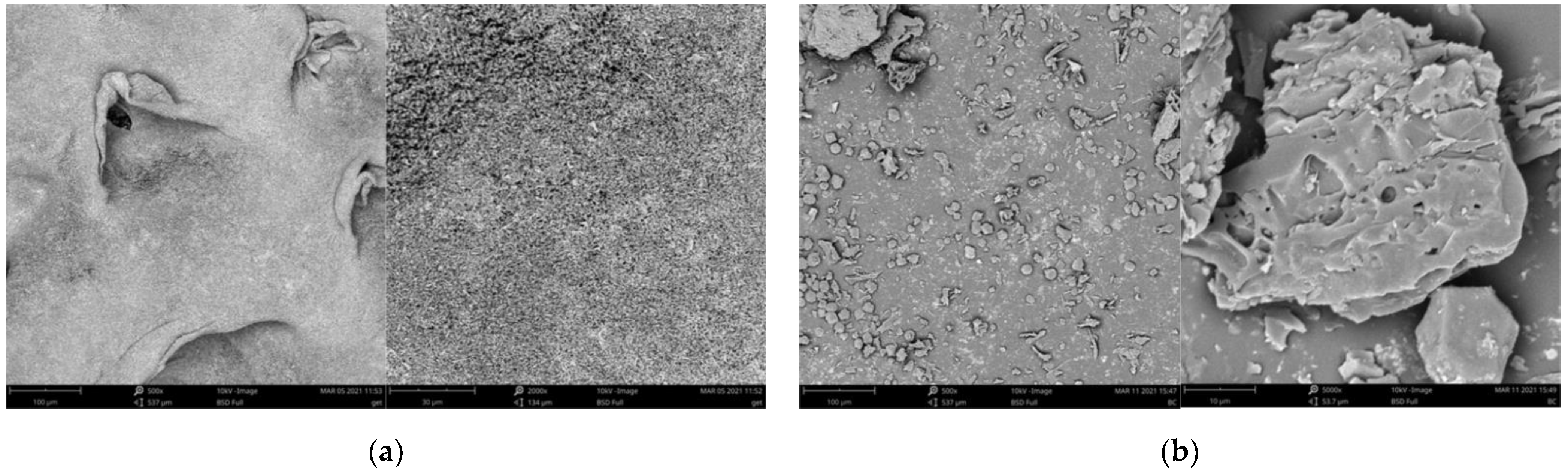 Materials 14 02584 g001a