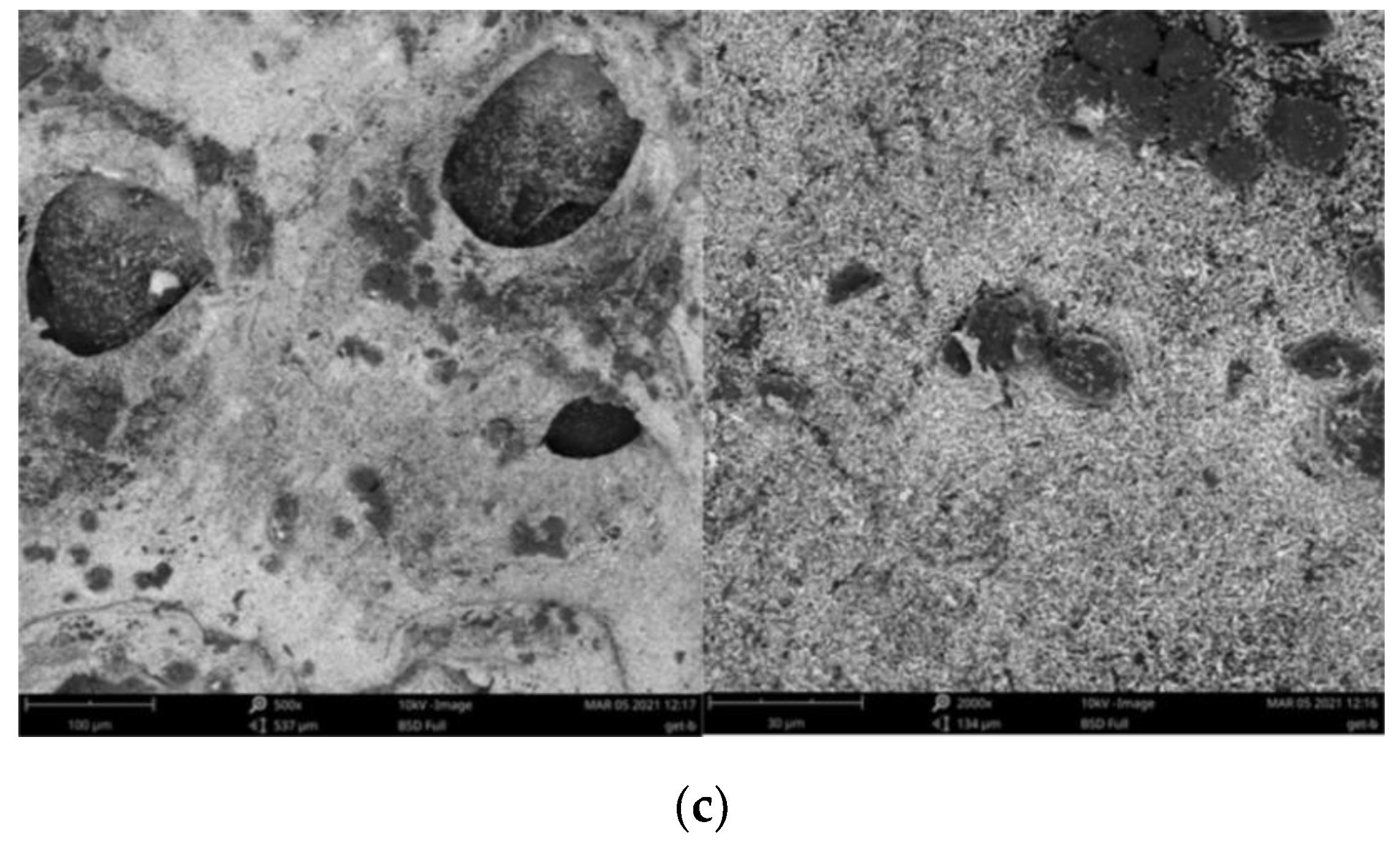 Materials 14 02584 g001b