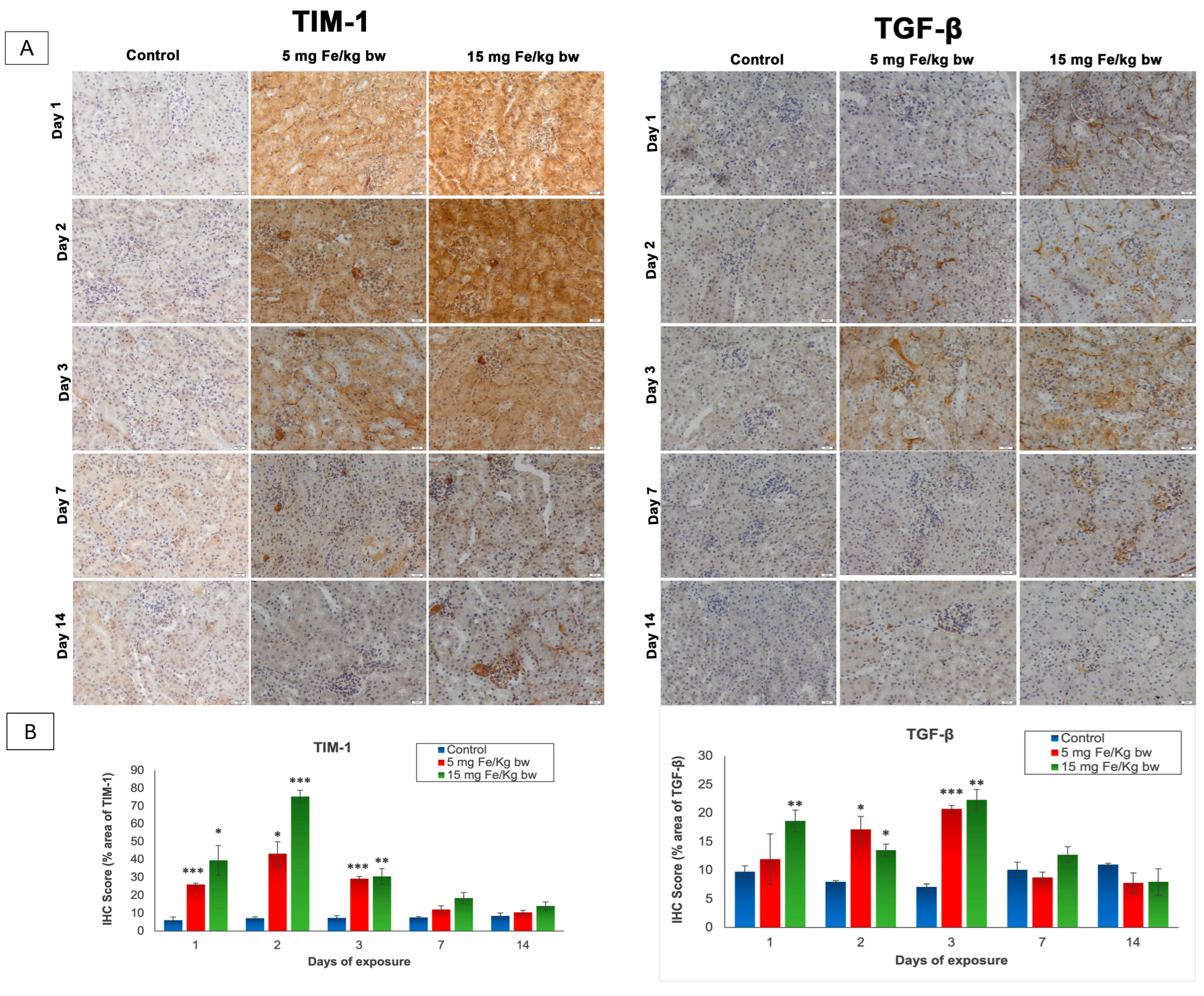 Materials 14 02605 g003