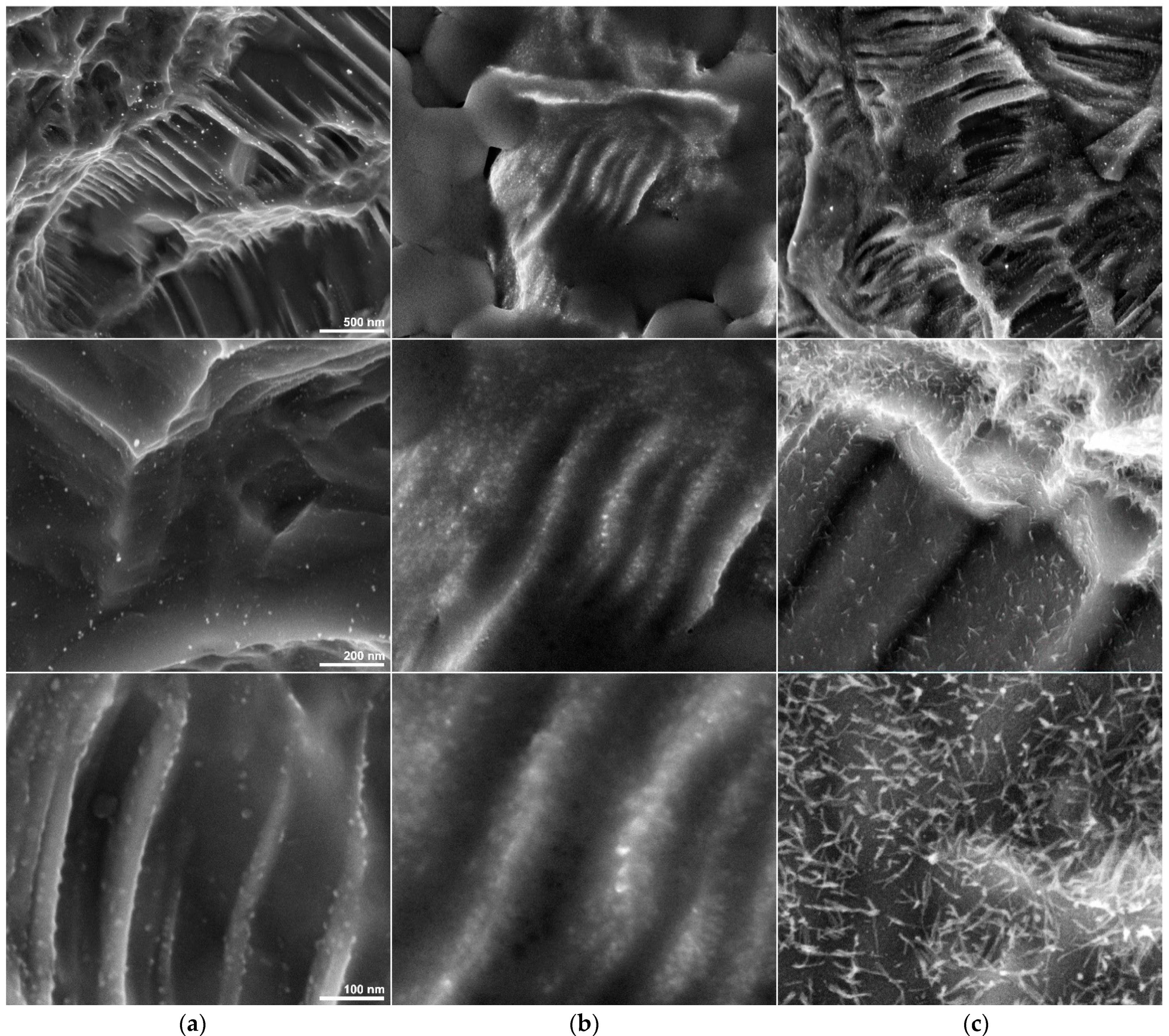 Materials 14 02608 g003 Materials 14 02608 g003