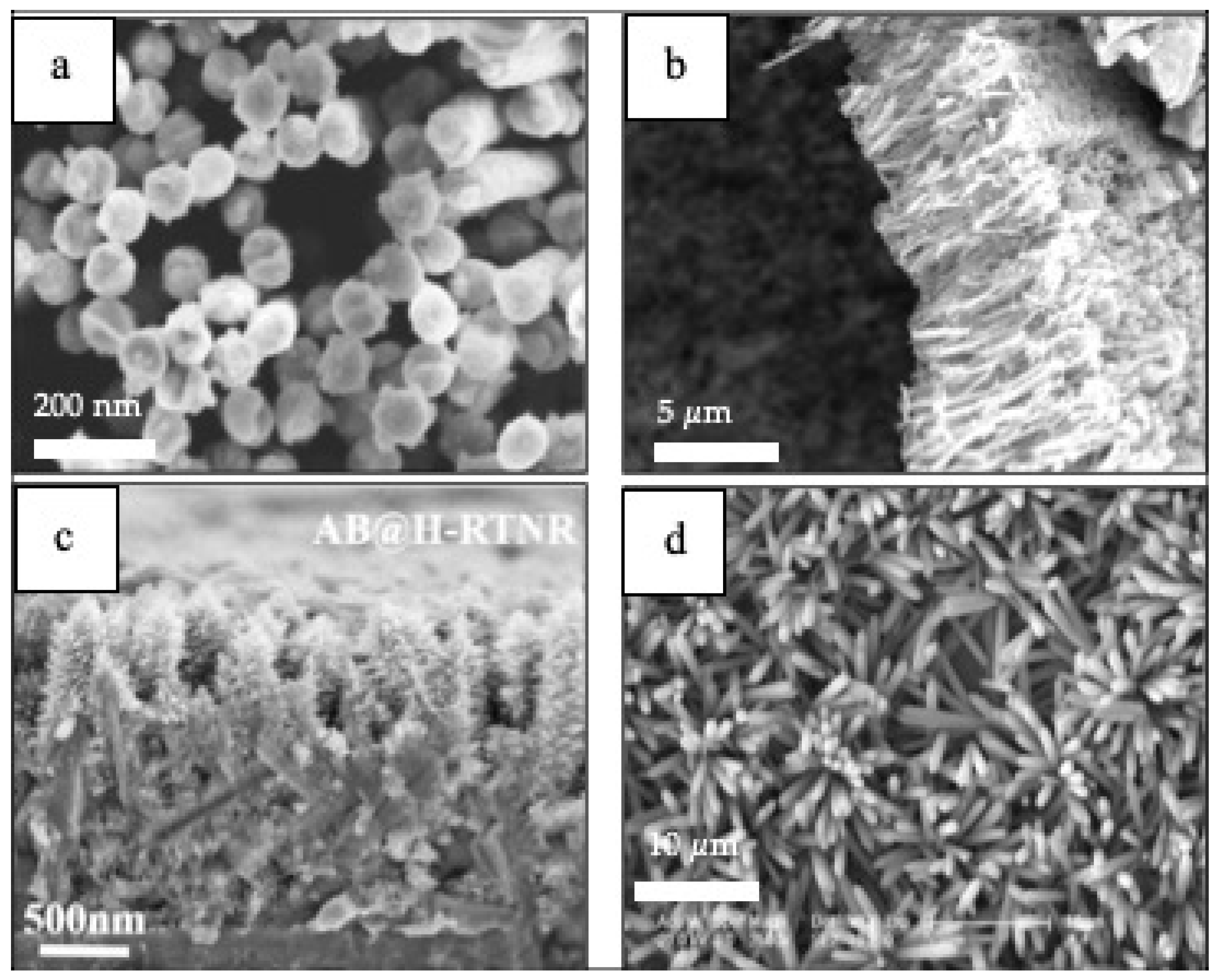 Materials 14 02609 g008