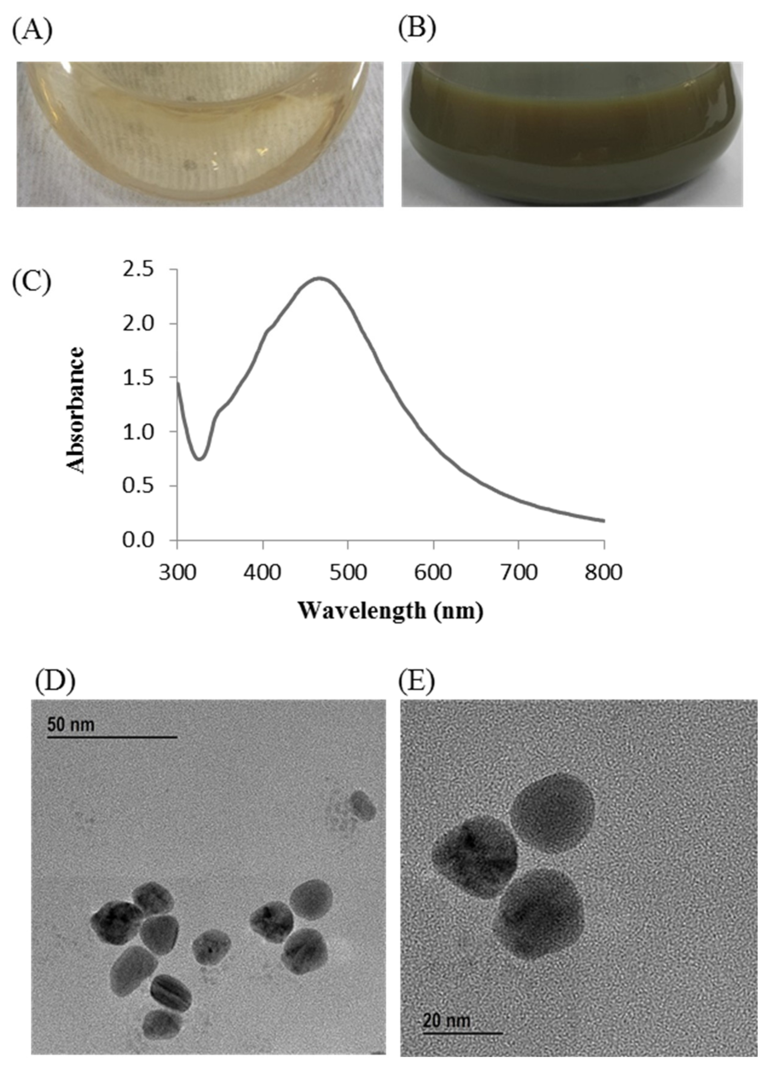 Materials Free Full Text Bacterial Mediated Rapid And Facile Synthesis Of Silver Nanoparticles And Their Antimicrobial Efficacy Against Pathogenic Microorganisms Html