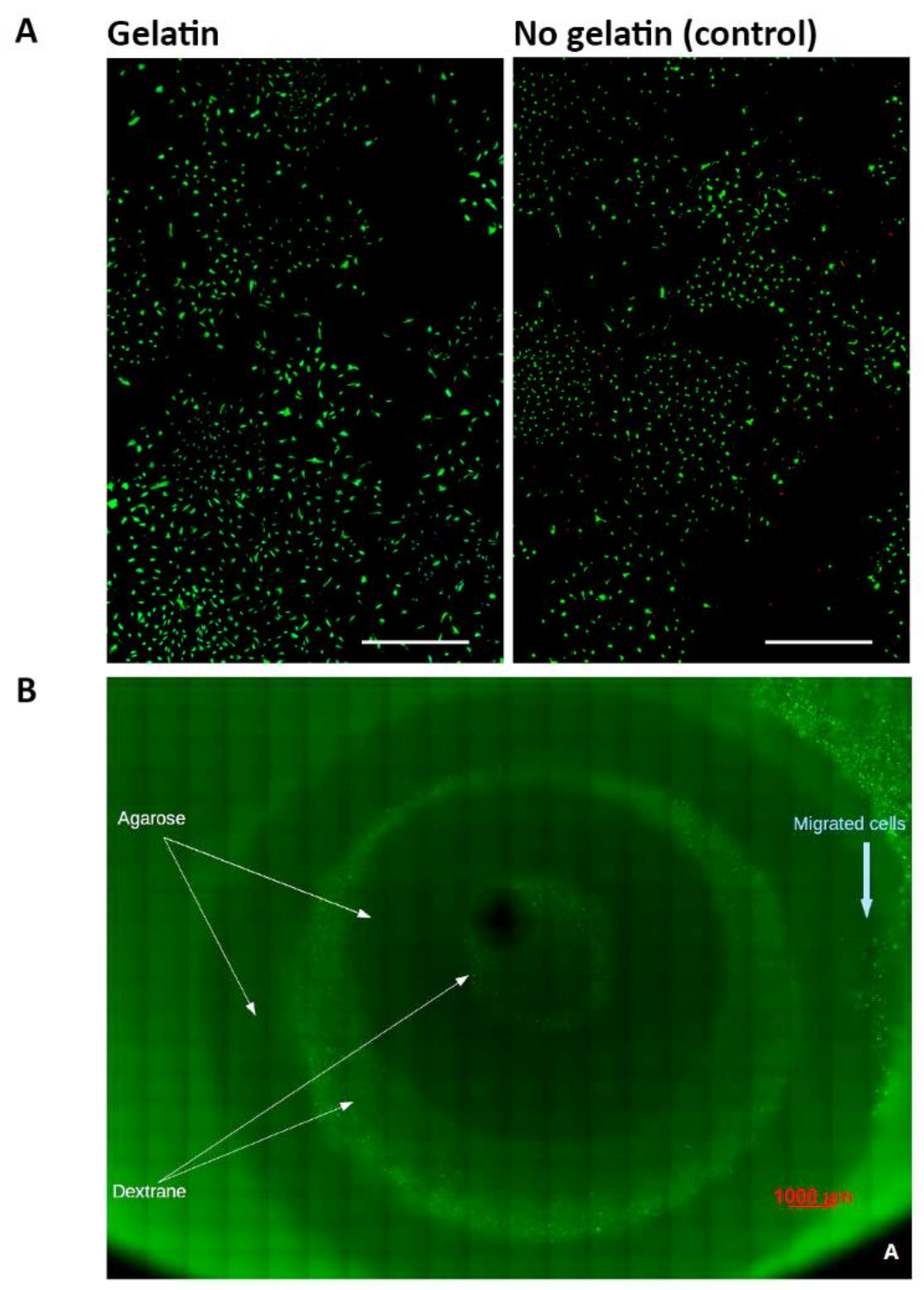 Materials 14 02692 g007