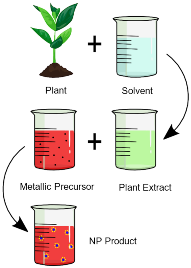 PDF) A comprehensive review on synthesis methods for transition