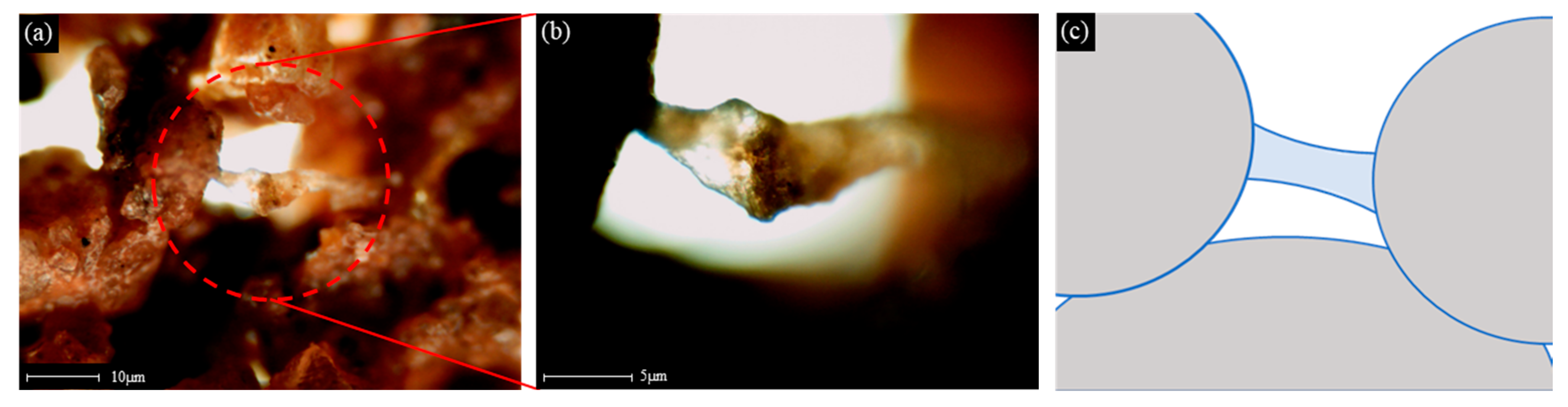 Materials 14 02743 g013