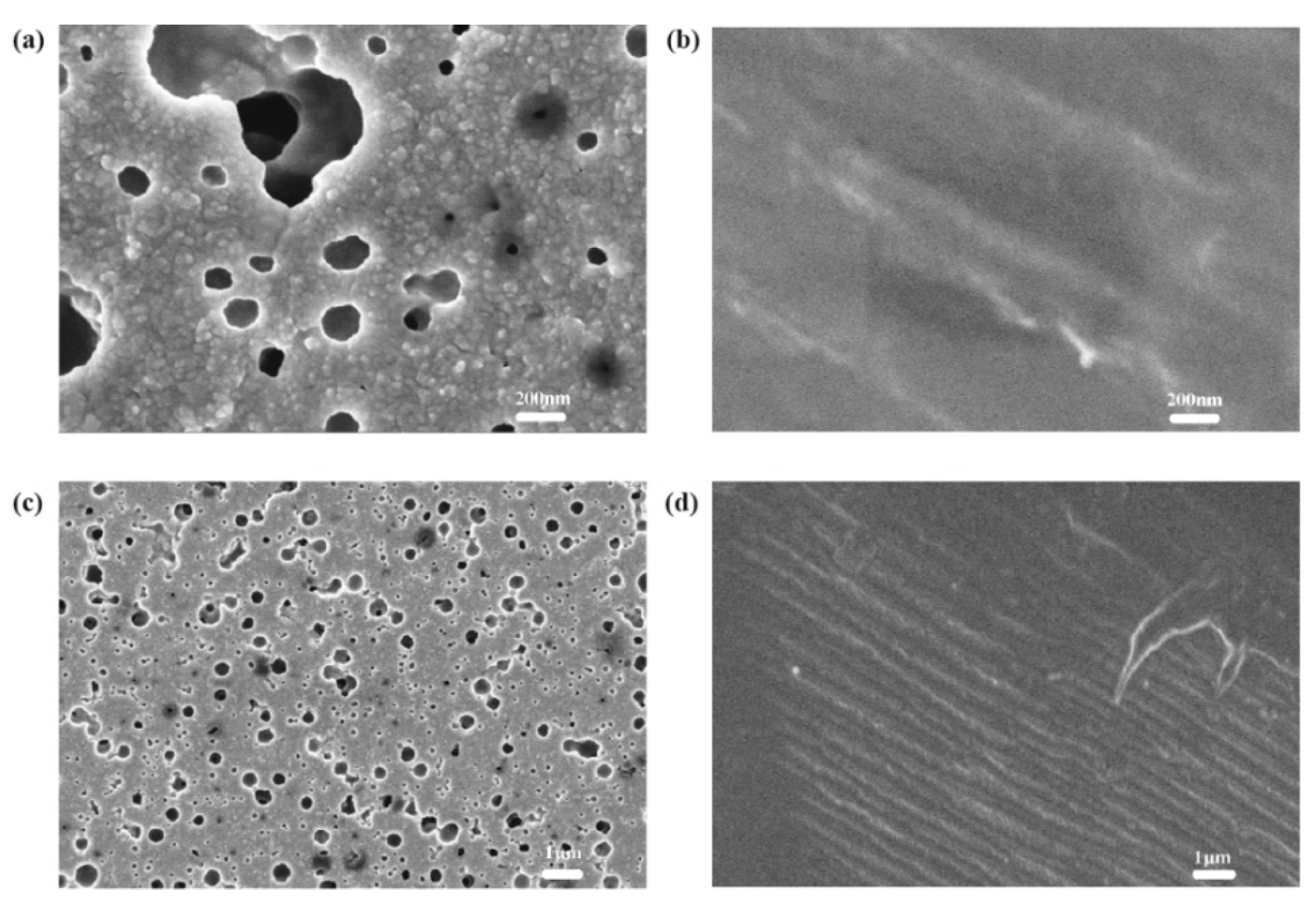 Materials 14 02748 g003